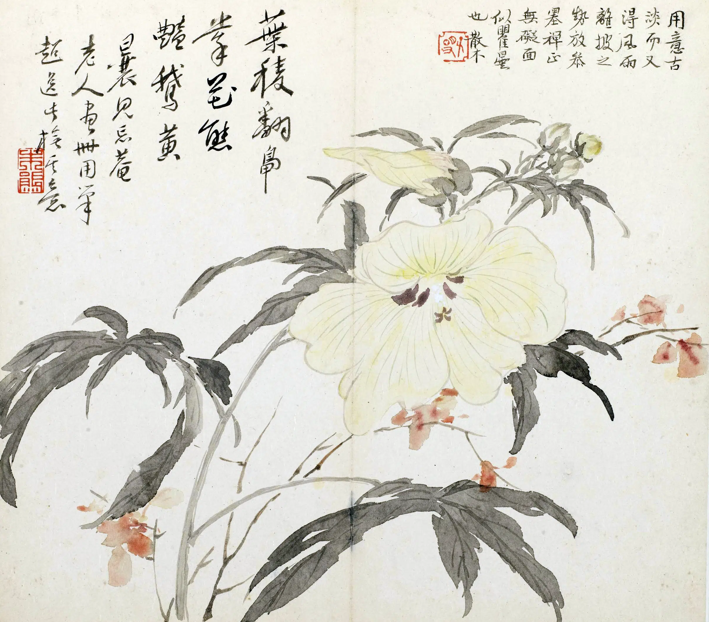 清代【朱熊】《花卉册》 第8张