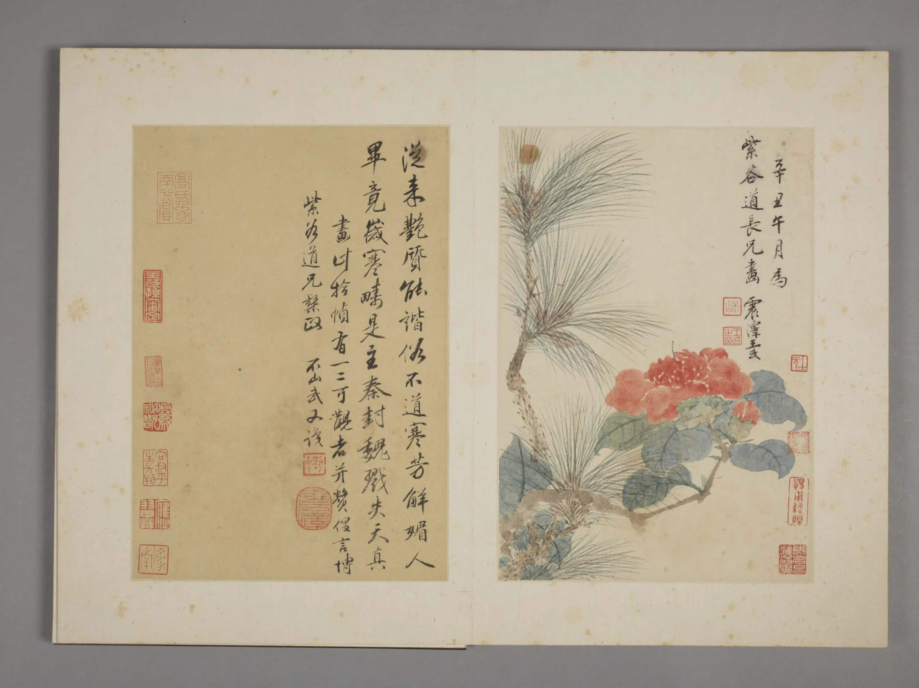清代【王武】《花卉册九开》