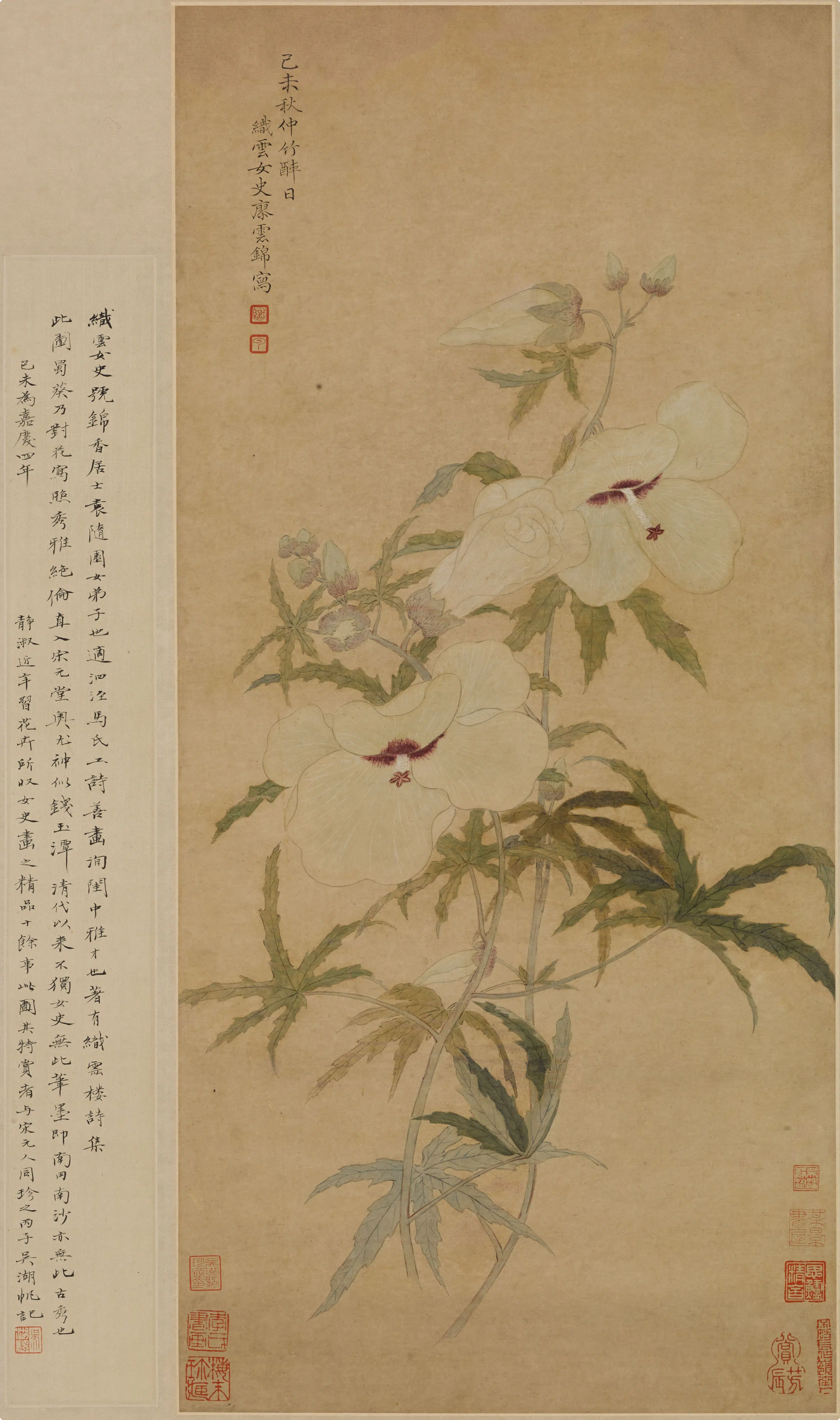 清代【廖云锦】《蜀葵图轴》 第1张
