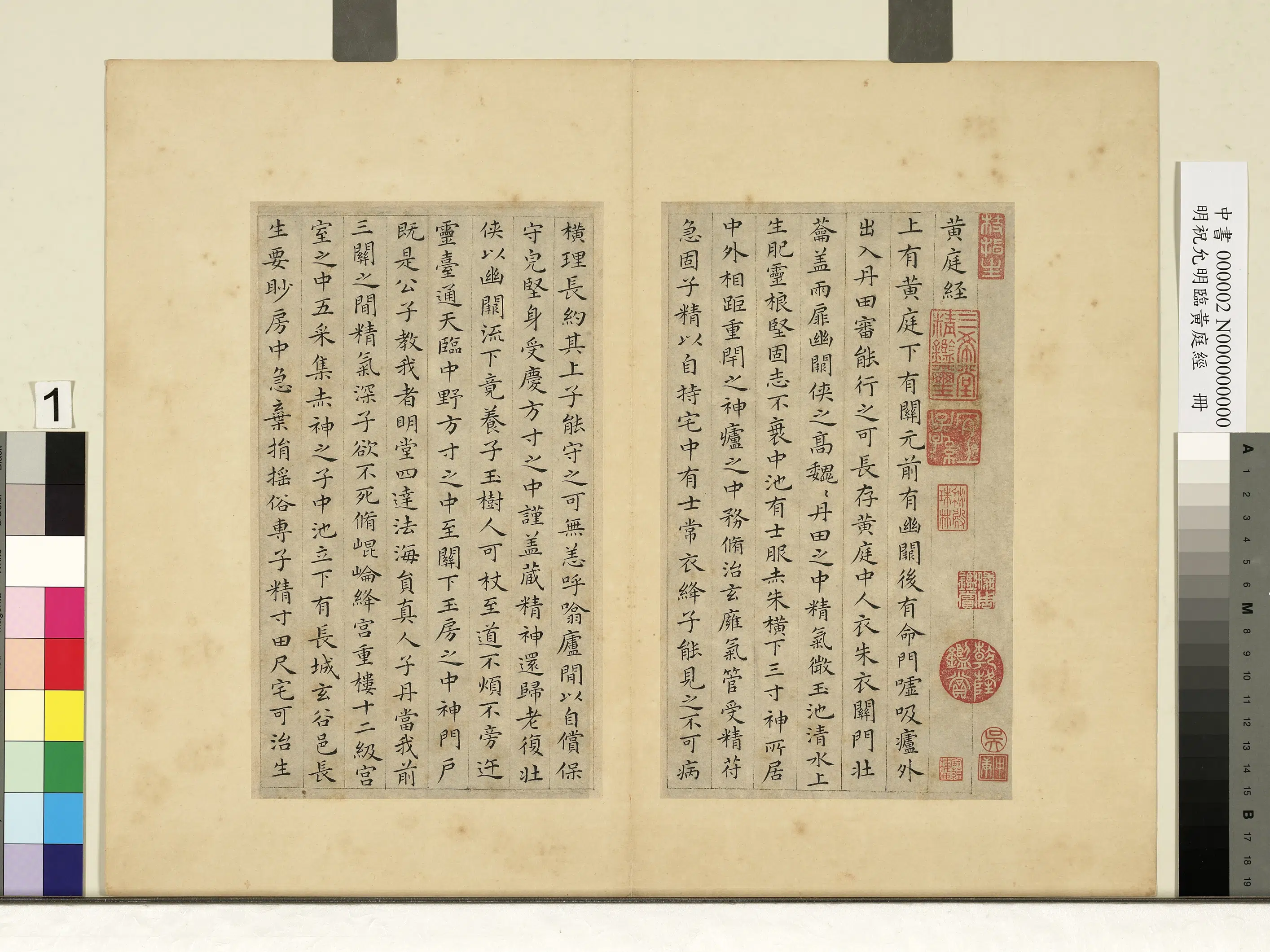 明朝【祝允明】《临黄庭经册》