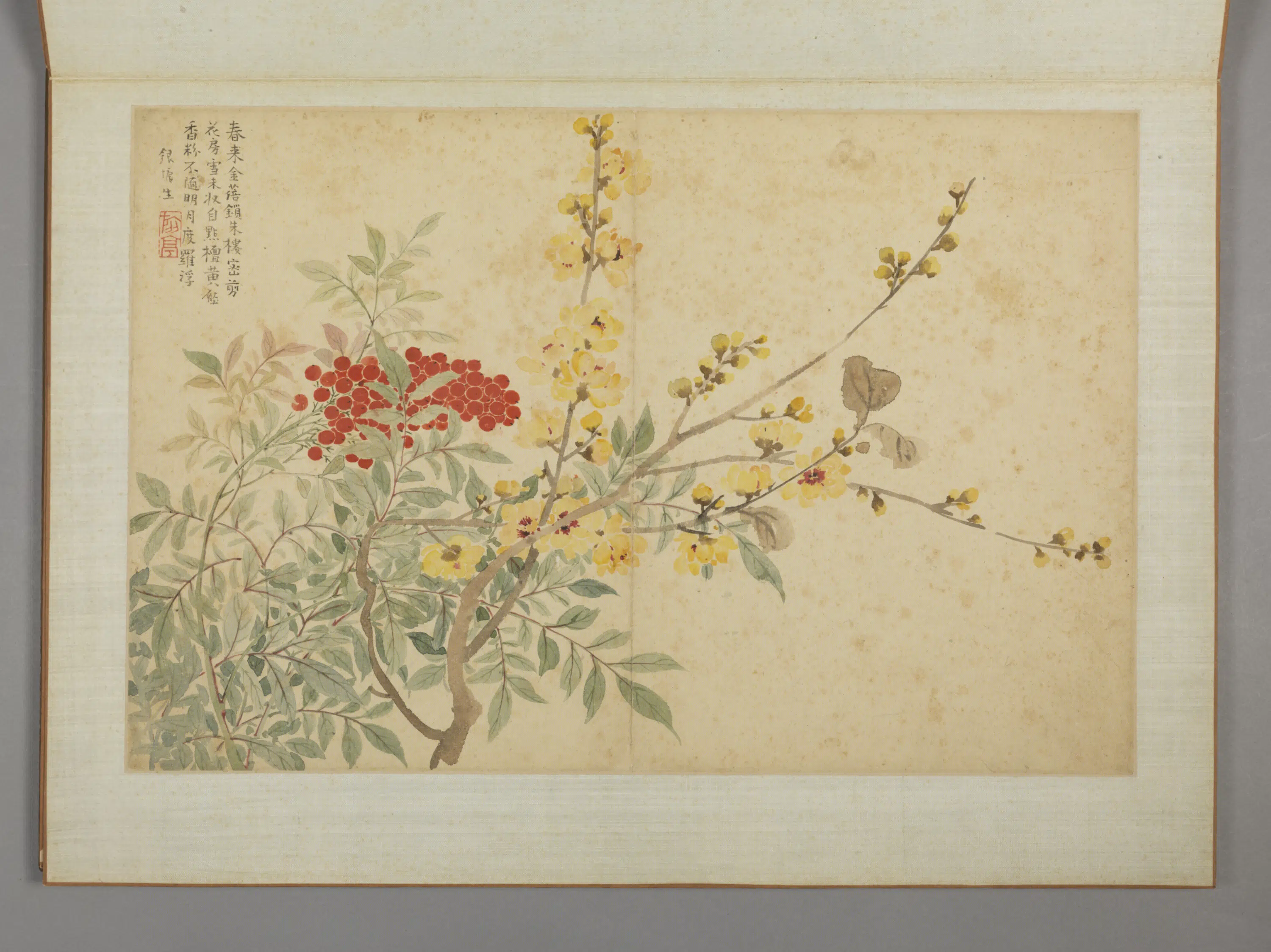 清代【蔡嘉】《花卉图册（11开）》 第3张