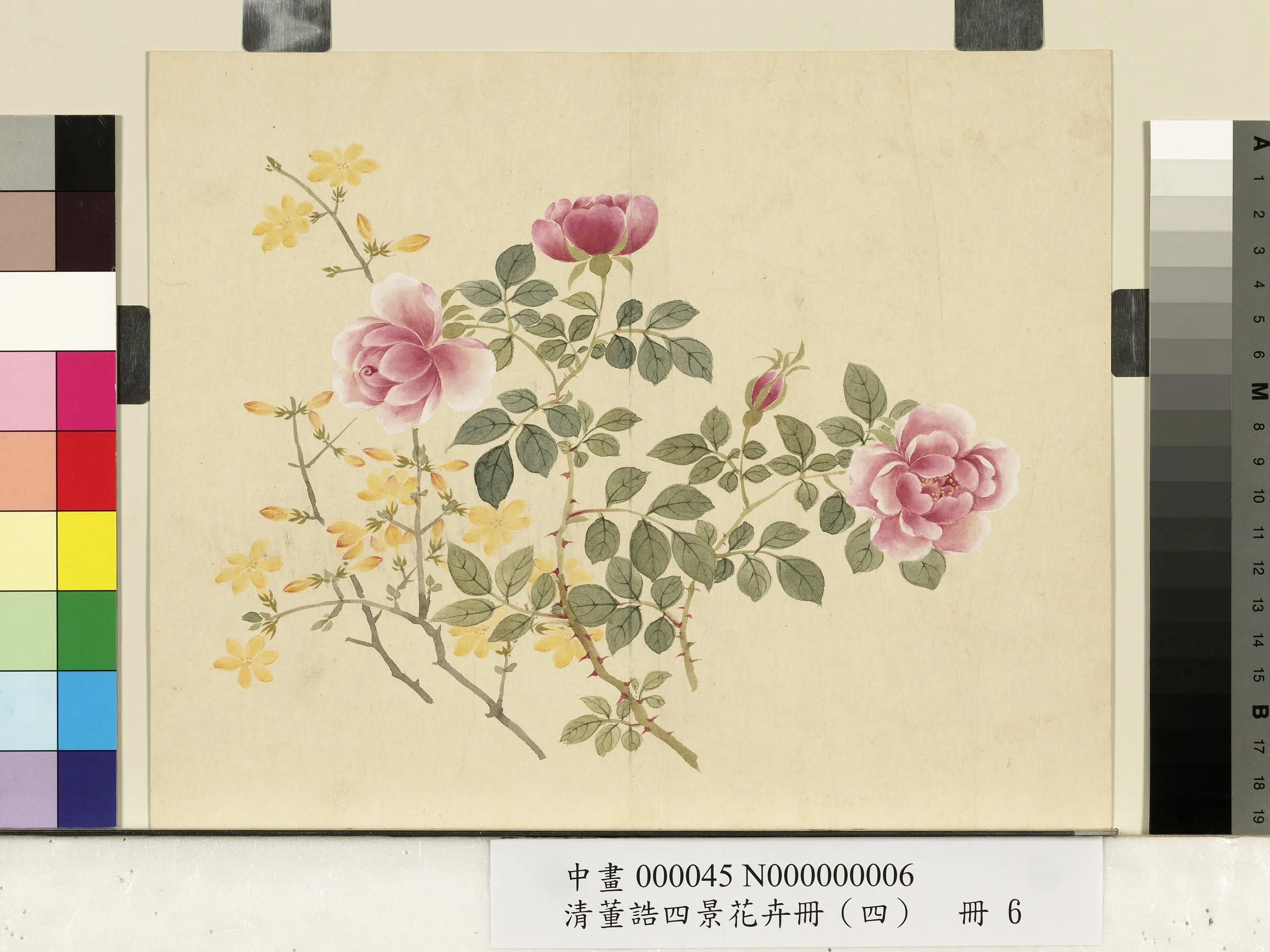 清代【董诰】《四景花卉（四）册-冬景花卉之六》 第1张