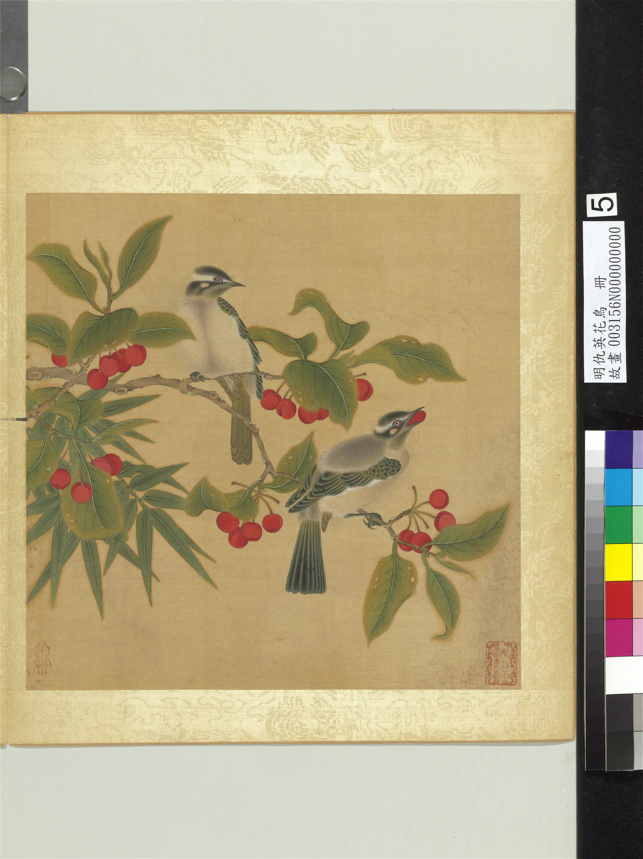 明朝【仇英】《花鸟册-樱桃》