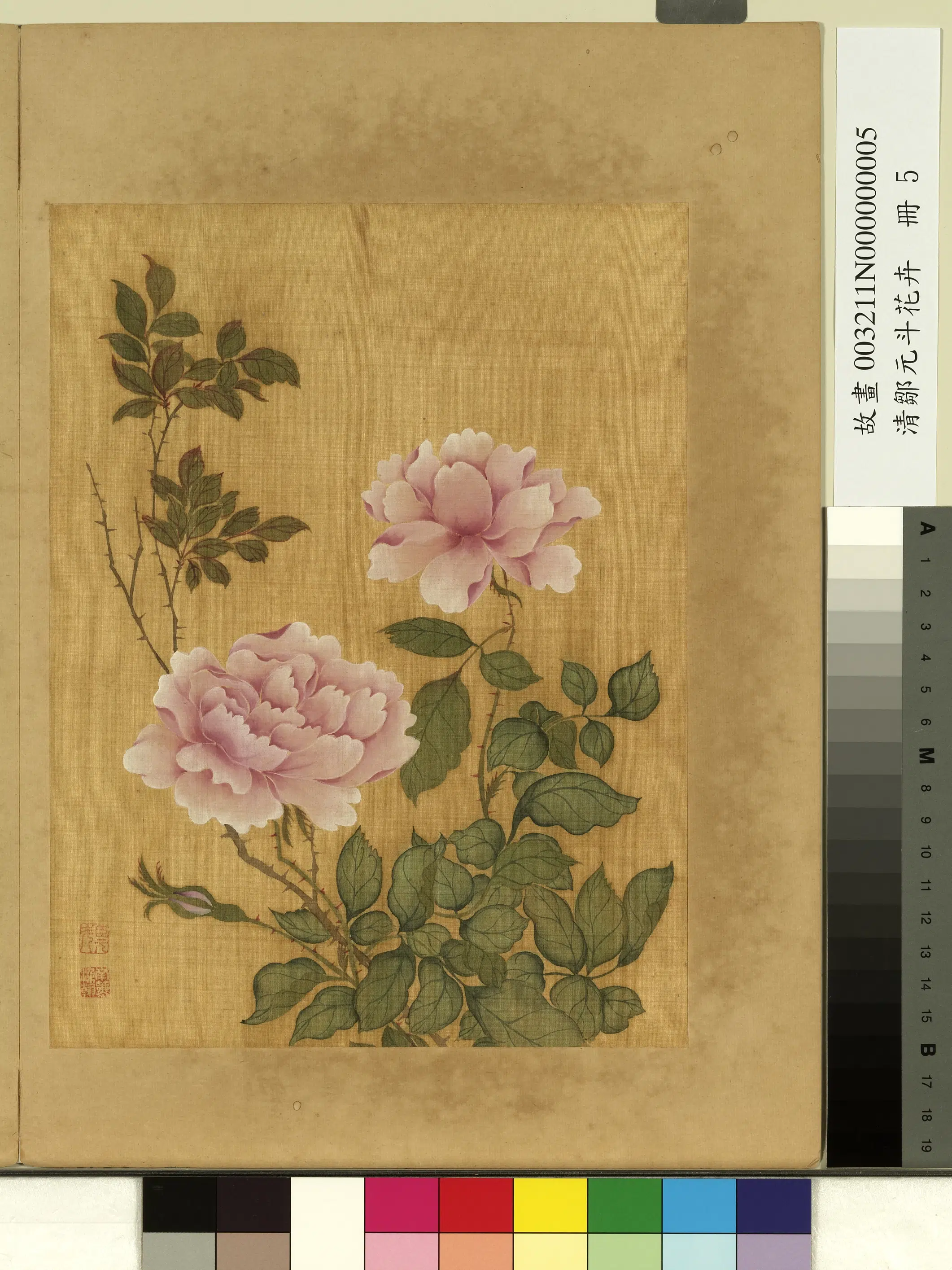 清代【邹元斗】《花卉册》 第2张