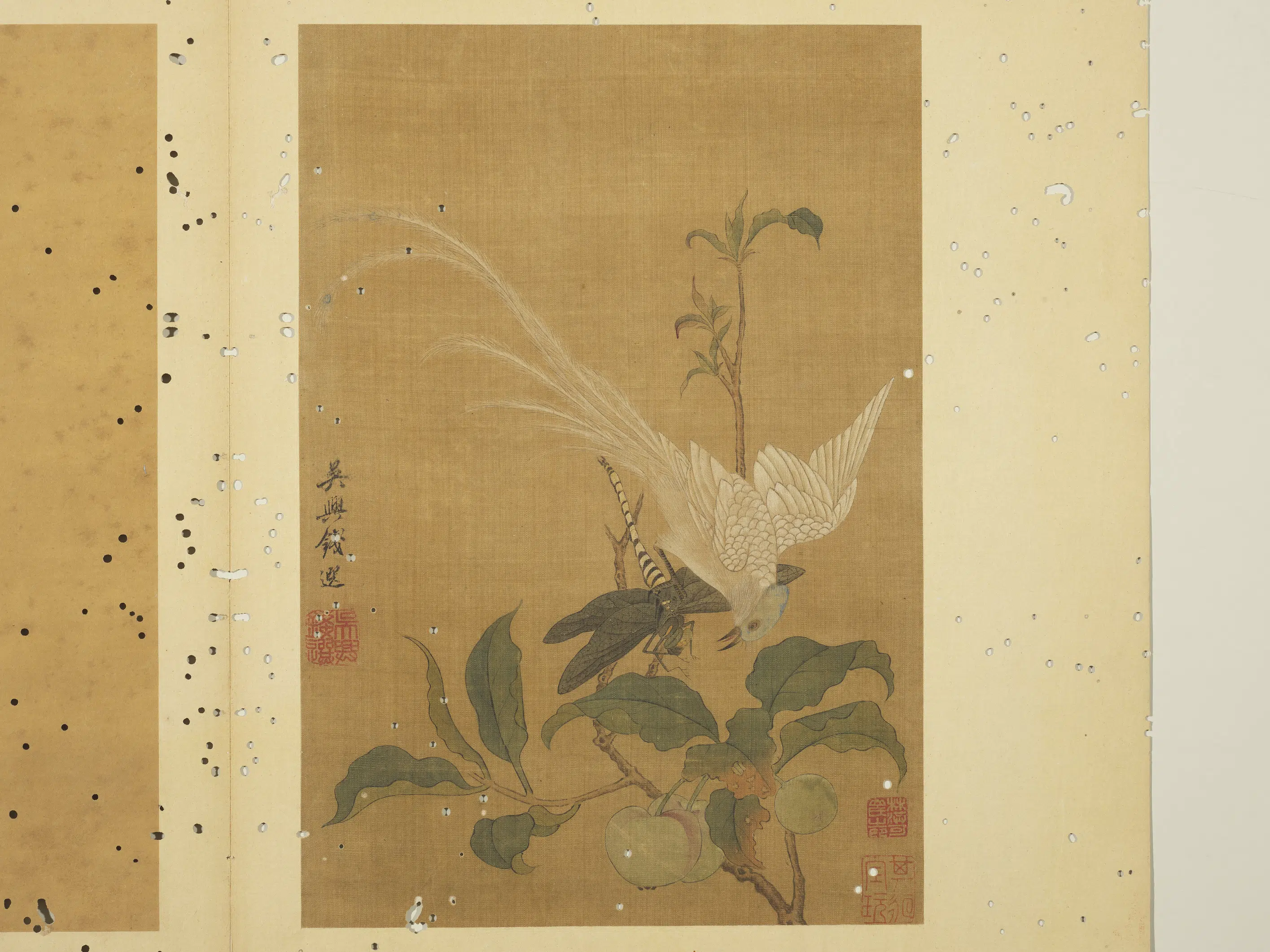 宋-元朝【钱选】《写生图册-寿带果蔬》