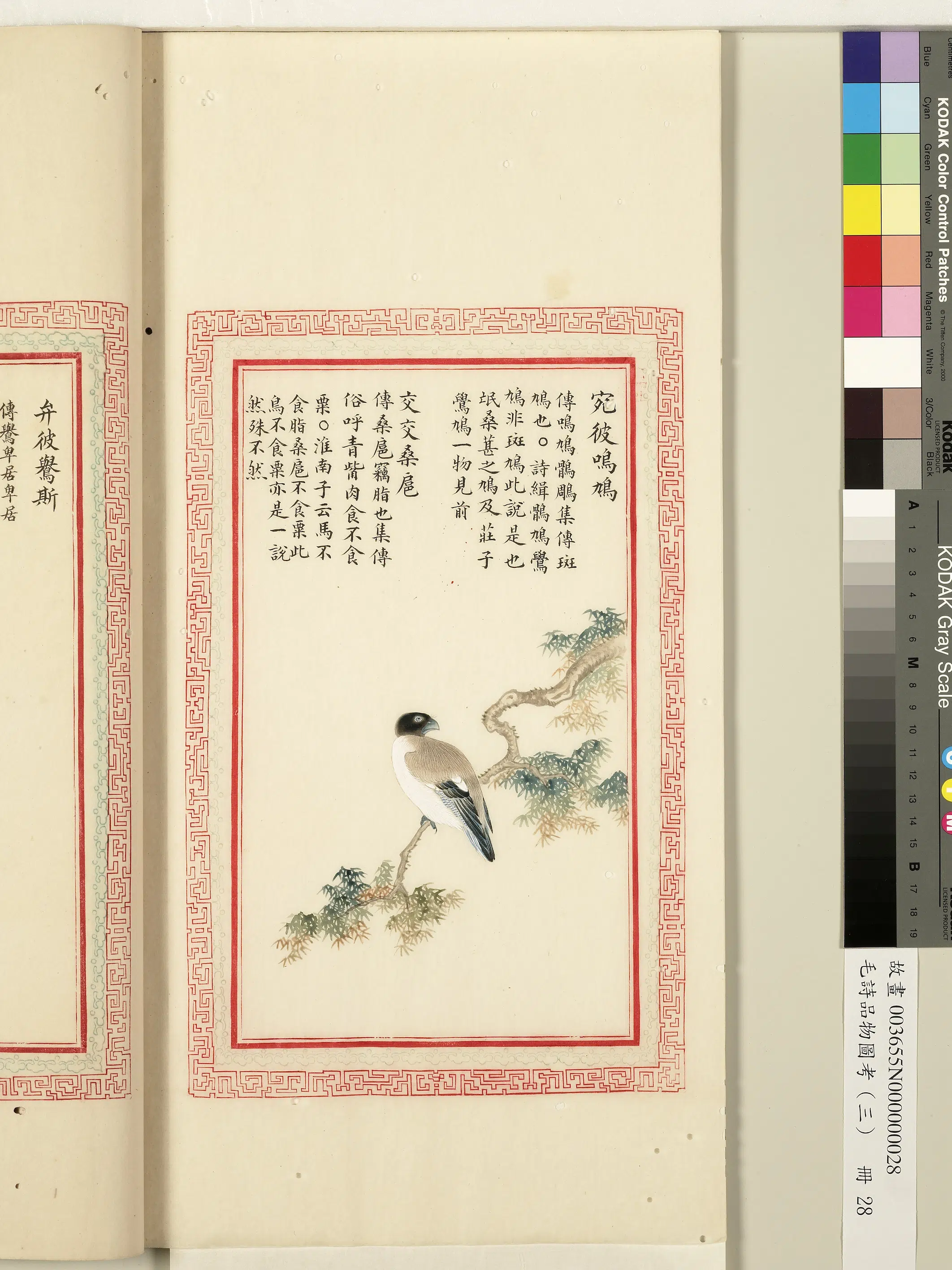 清代《毛诗品物图考(三)册-1》 第14张 清代《毛诗品物图考(三)册-1》 第14张