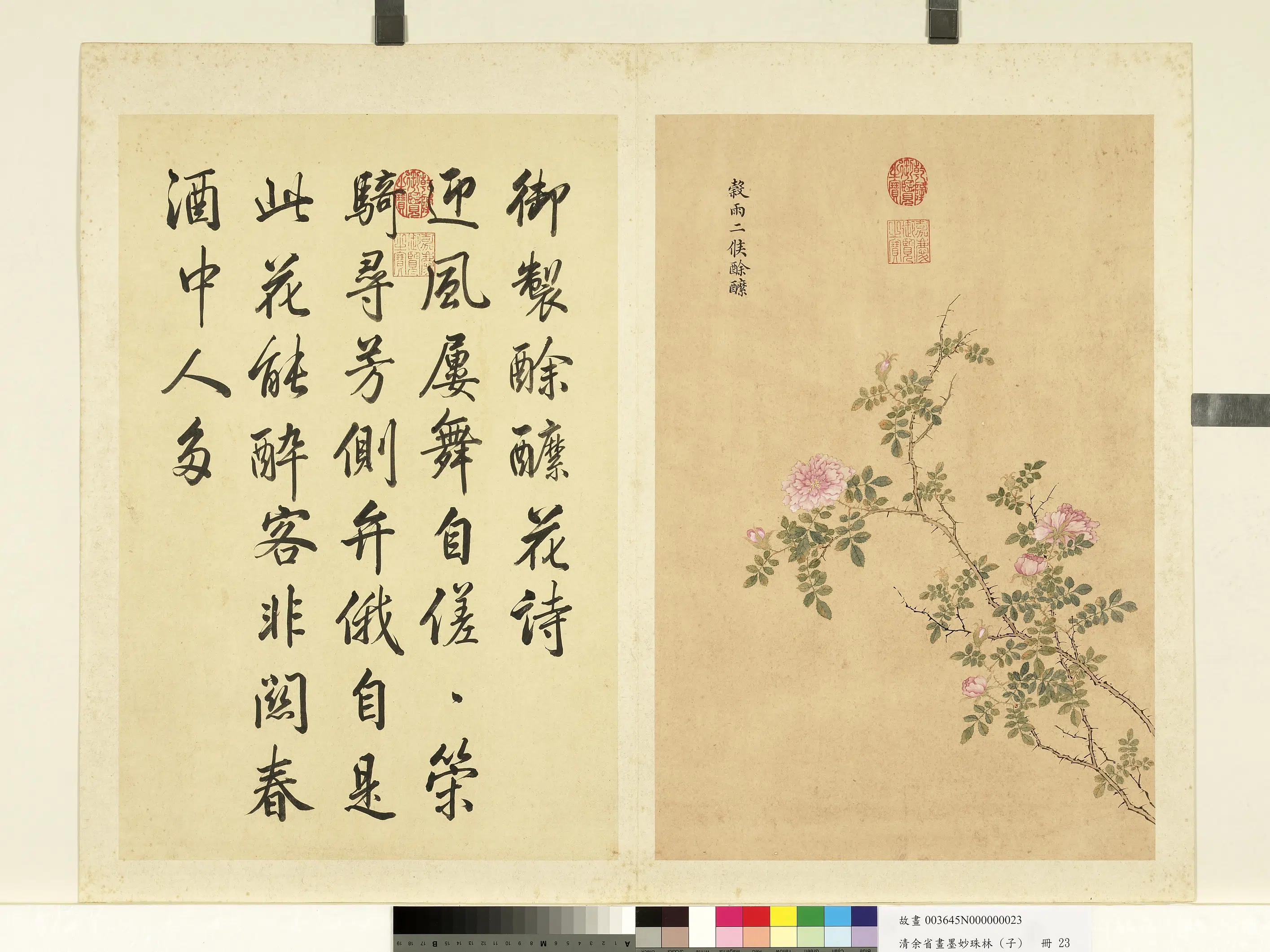 清代【余省】《画墨妙珠林（子）册》 第21张
