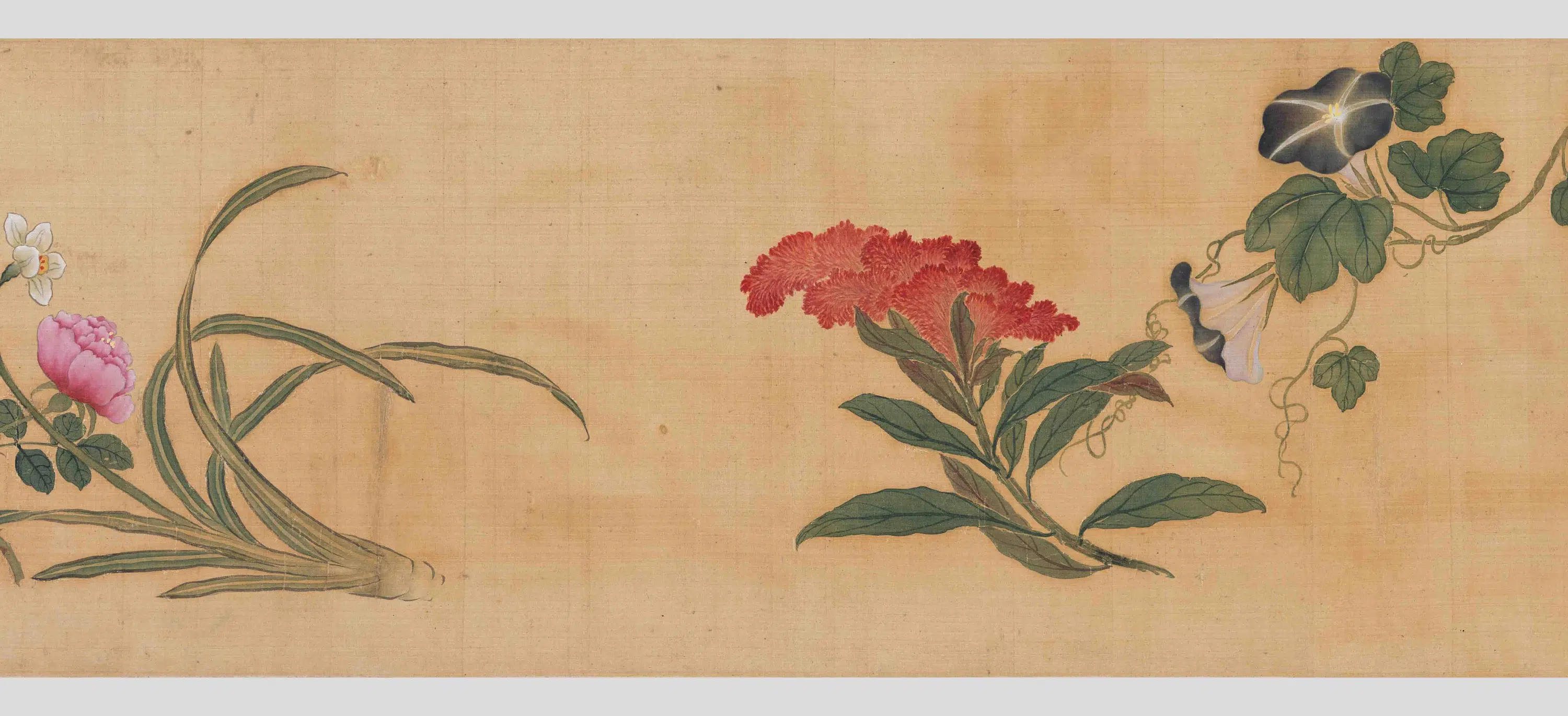 清代【马荃】《四季花卉卷》 第2张 清代【马荃】《四季花卉卷》 第2张