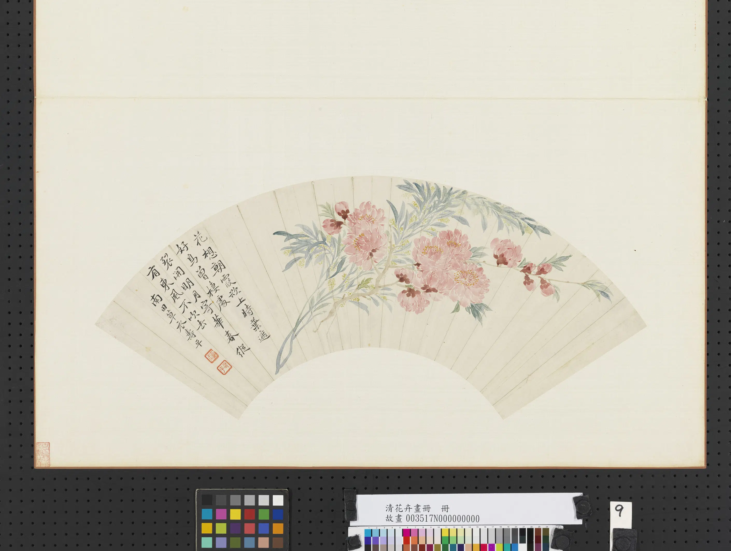 《花卉画册-3》 第4张