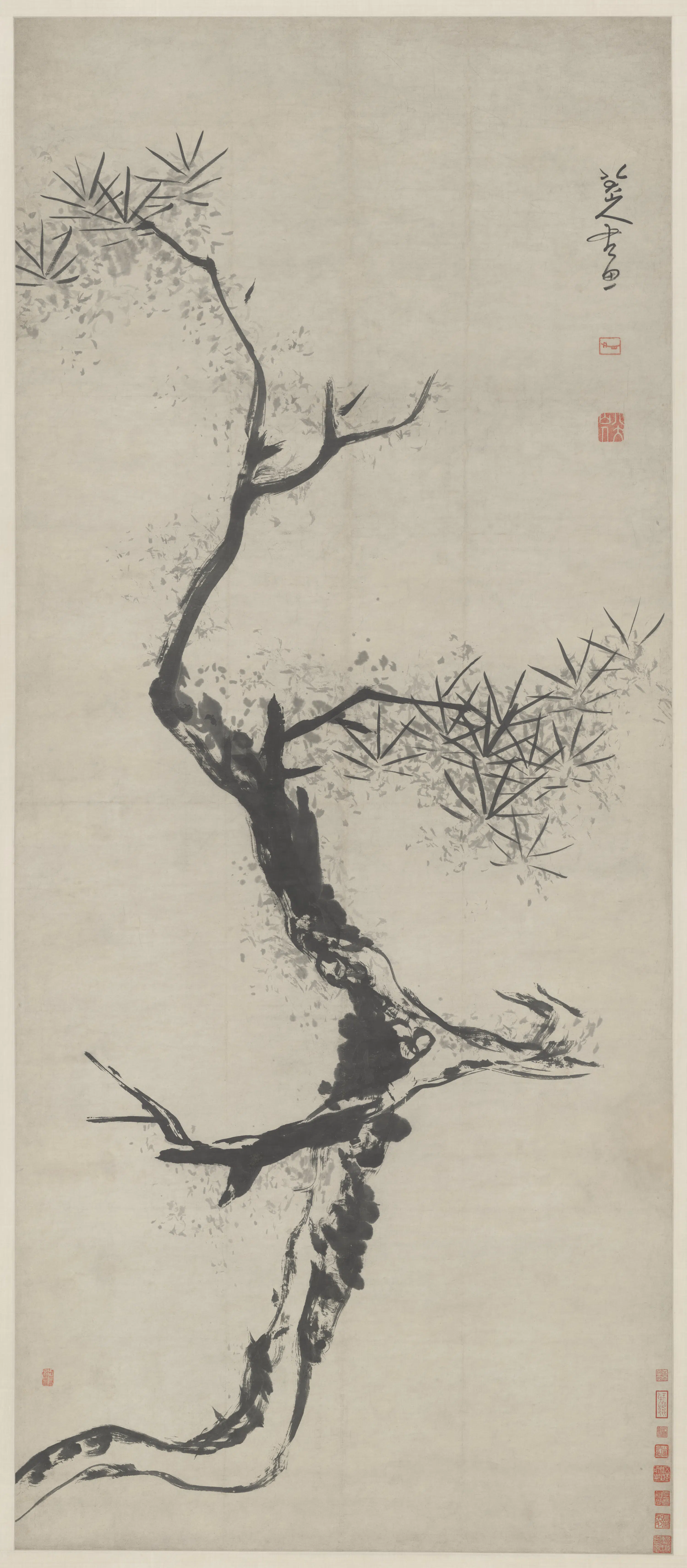 清代【朱耷】《松轴》