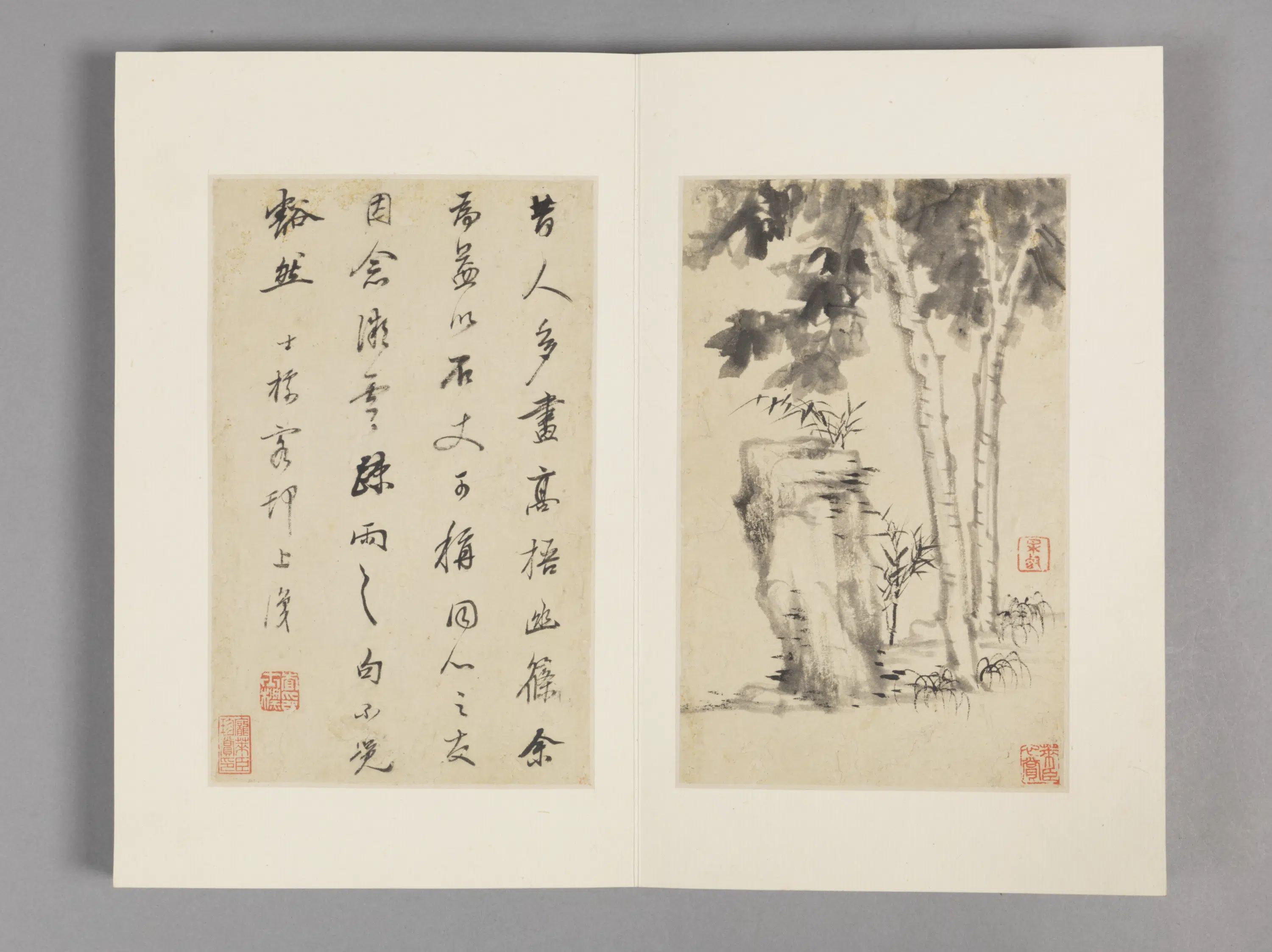 清代【查士标】《枯木竹石册（12开）》