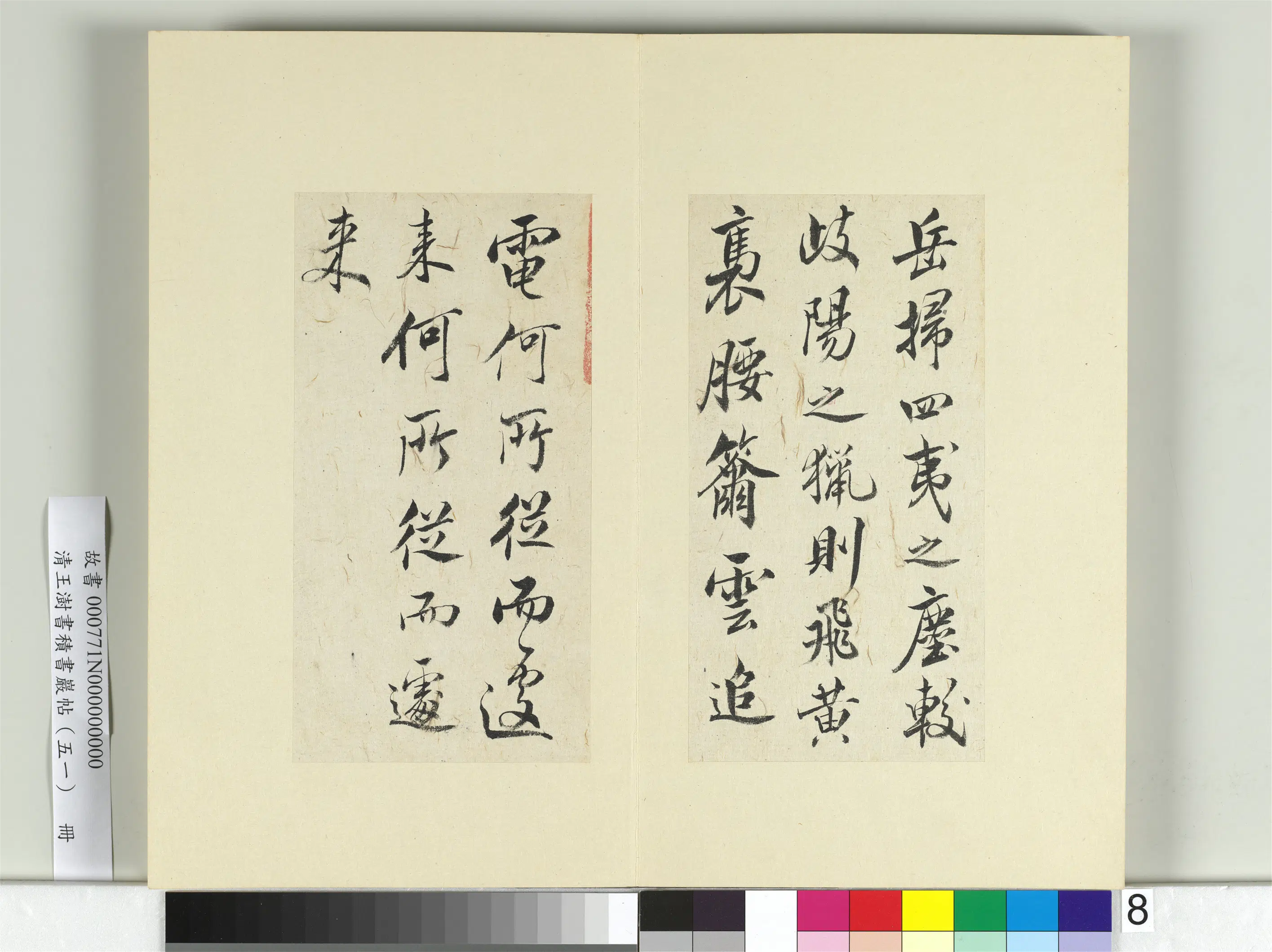 清代【王澍】《书积书岩帖（五十一）册-临米芾天马赋》 第8张