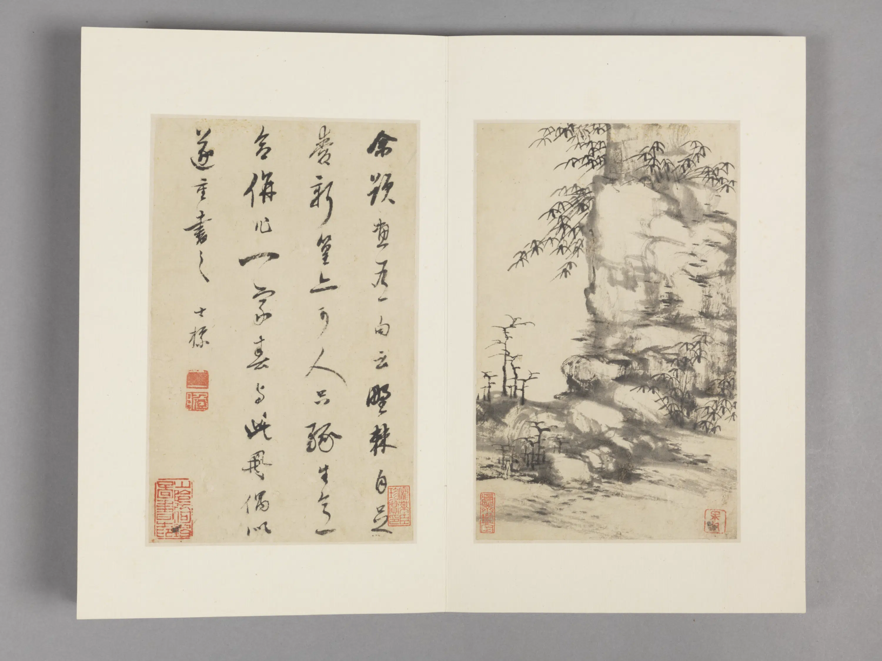 清代【查士标】《枯木竹石册（12开）》 第11张
