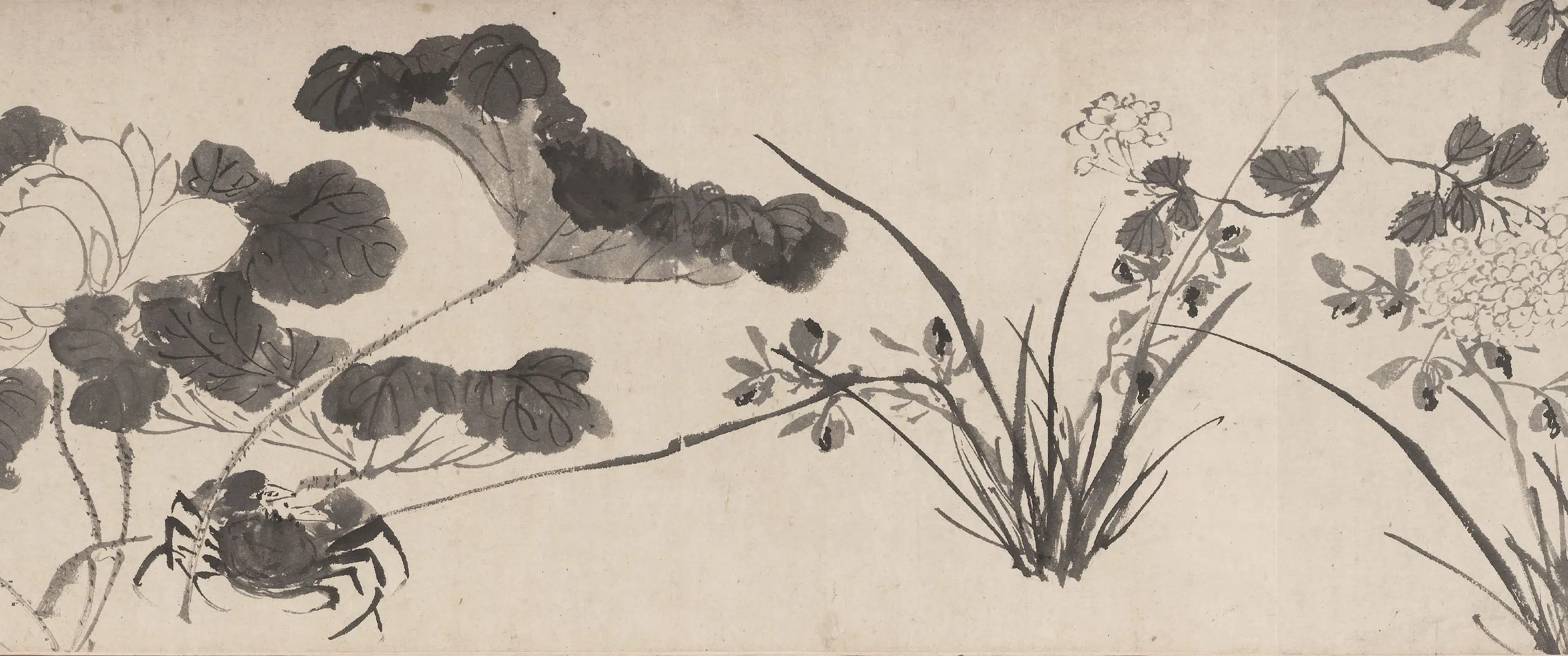 明朝【陈淳（道复）】《花卉图卷-2》 第4张