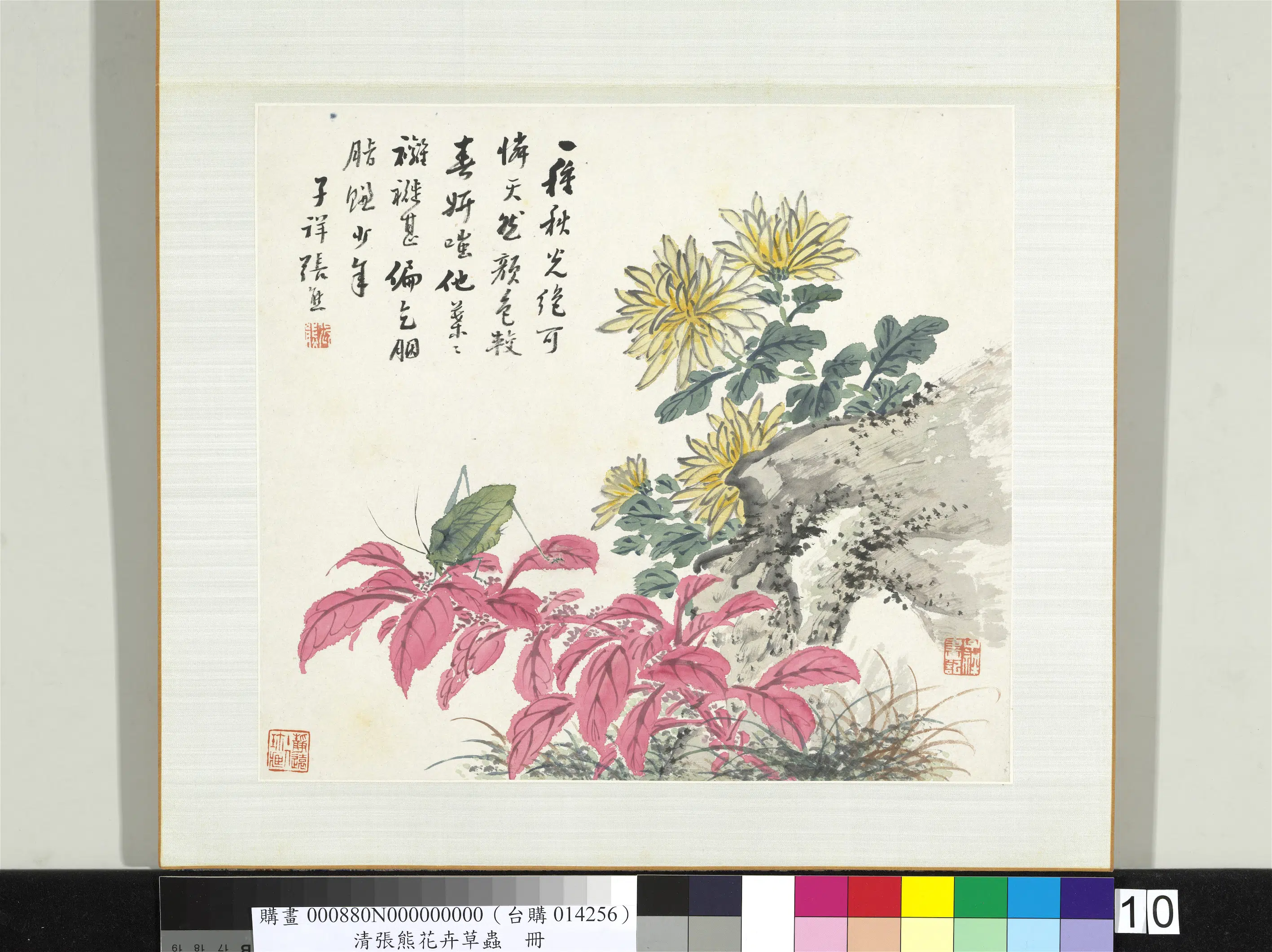 清代【张熊】《花卉草虫册-（十）》