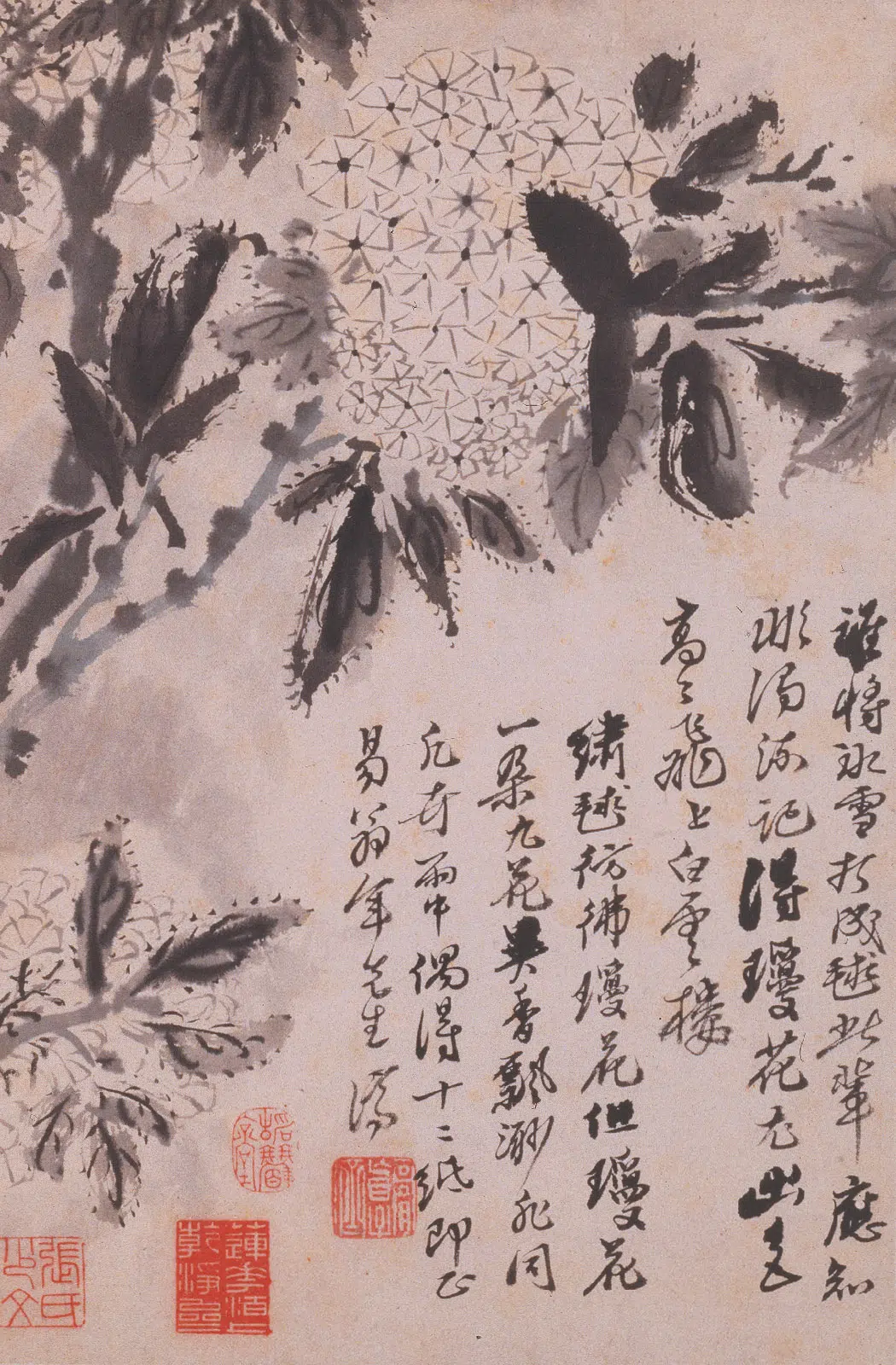 清代【石涛】《花卉册》 第4张 清代【石涛】《花卉册》 第4张