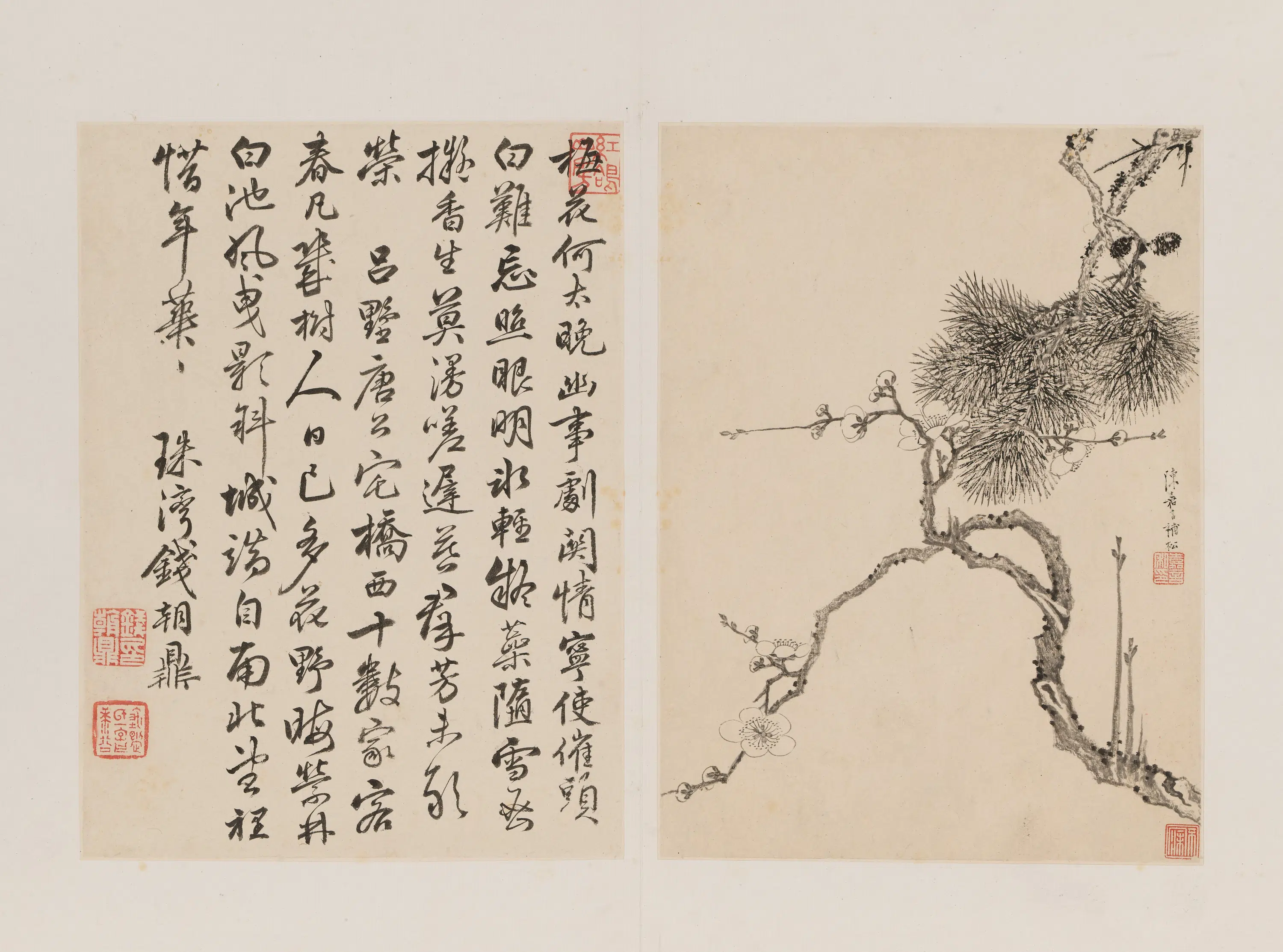 清代【金俊明】《等群芳合壁册》 第1张