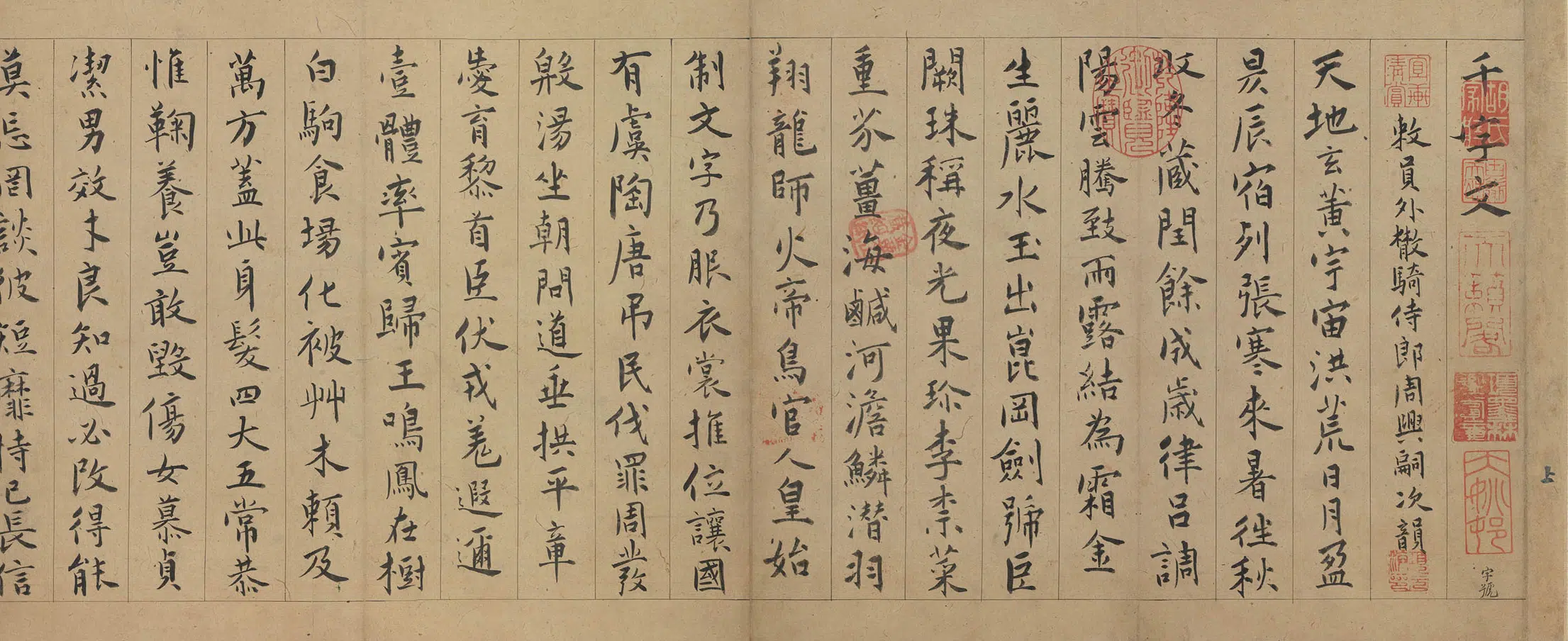 明朝【陈淳（道复）】《行书千字文卷》 第5张