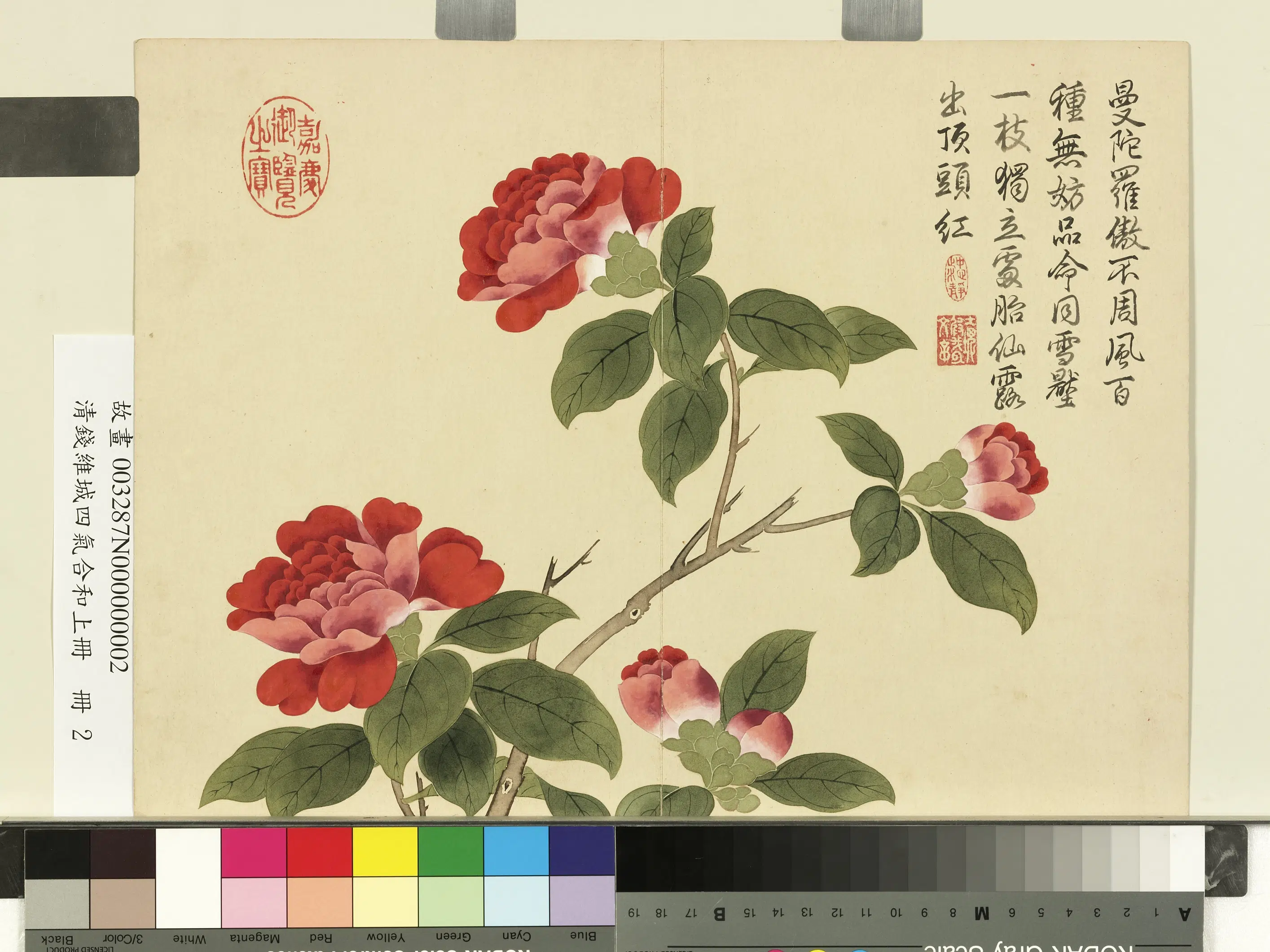 清代【钱维城】《画四气含和上册-山茶》