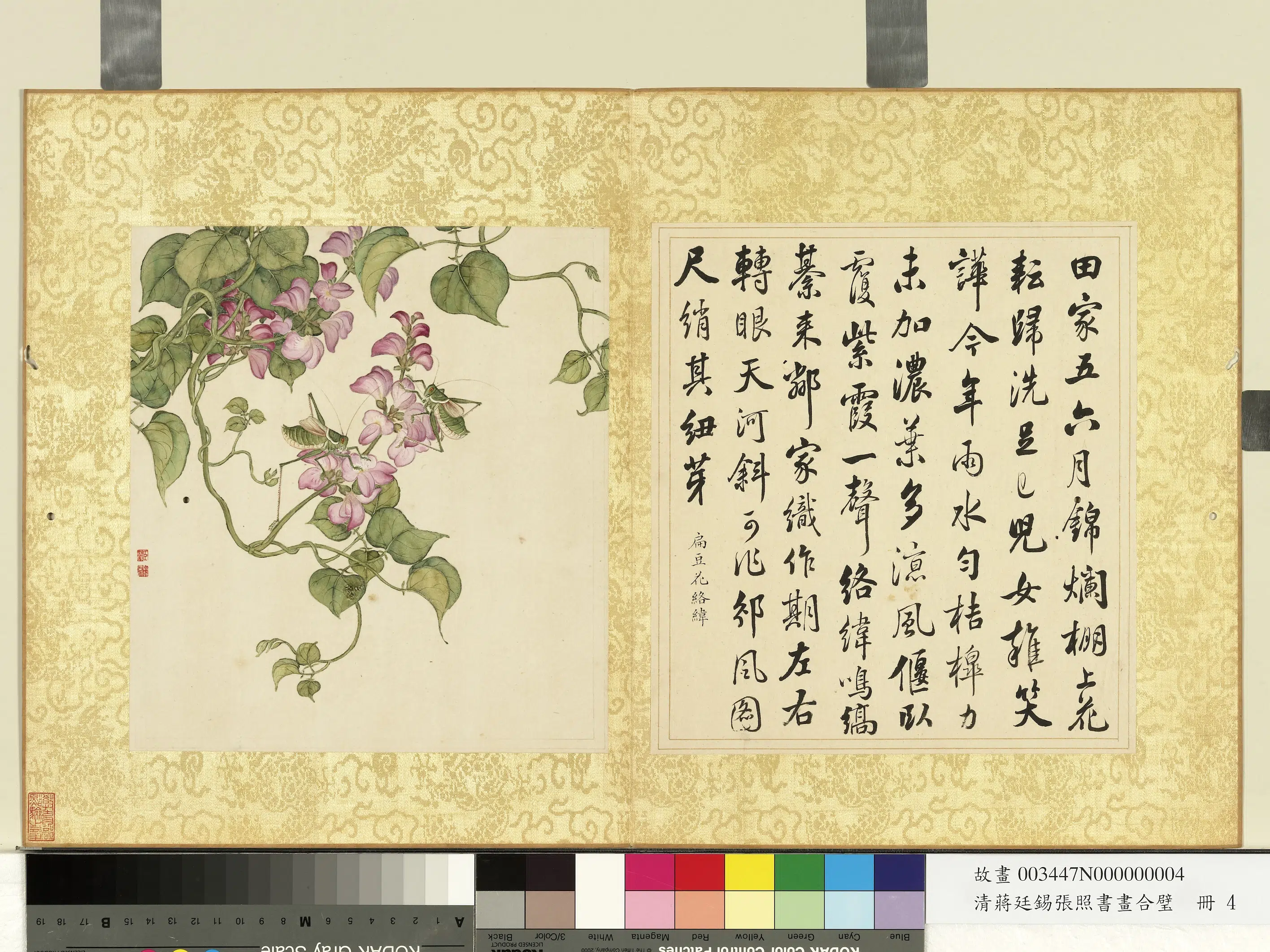 清代【张照蒋廷锡】《蒋廷锡张照书画合璧册-豆花络纬》