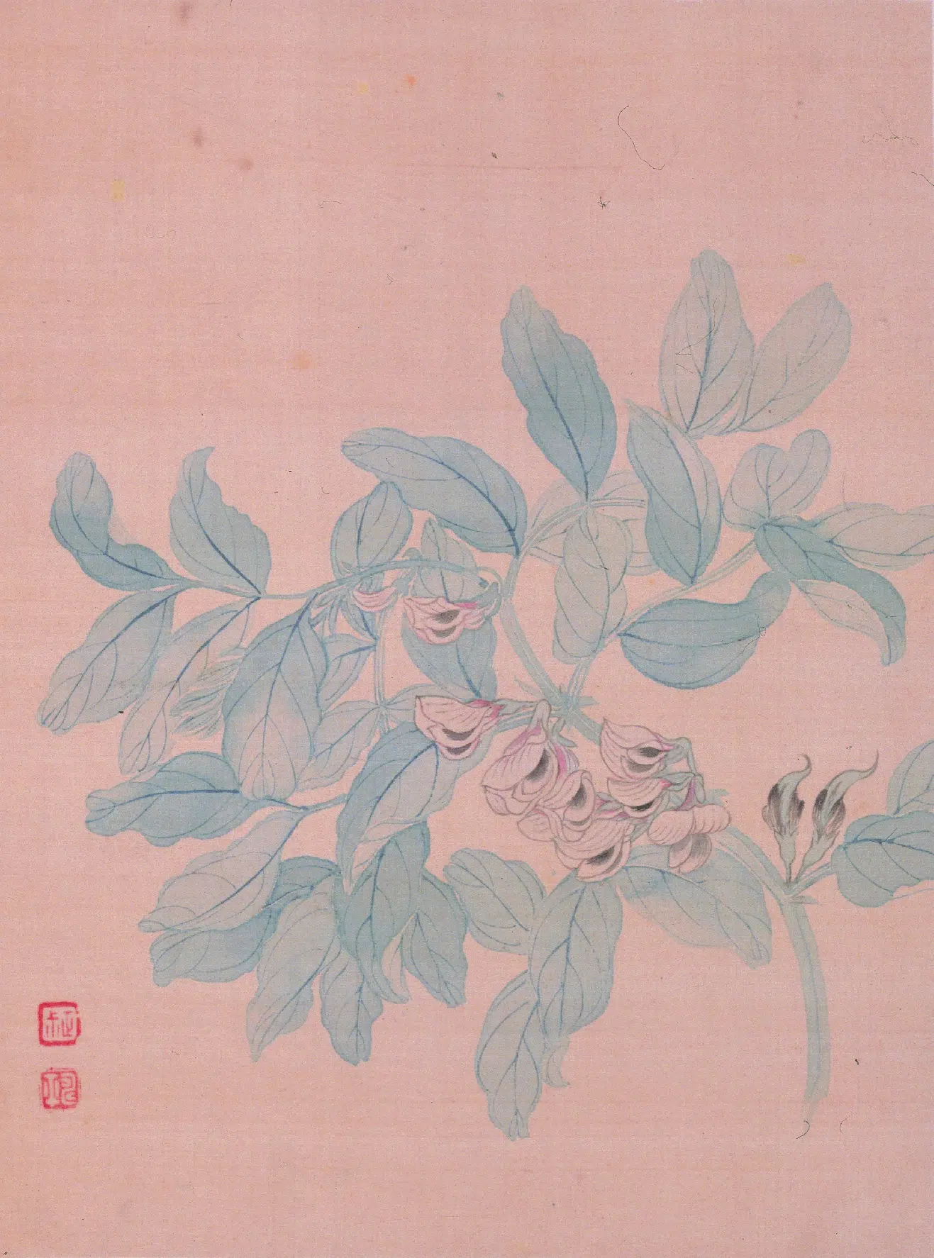清代【恽寿平】《花卉图册》 第3张 清代【恽寿平】《花卉图册》 第3张