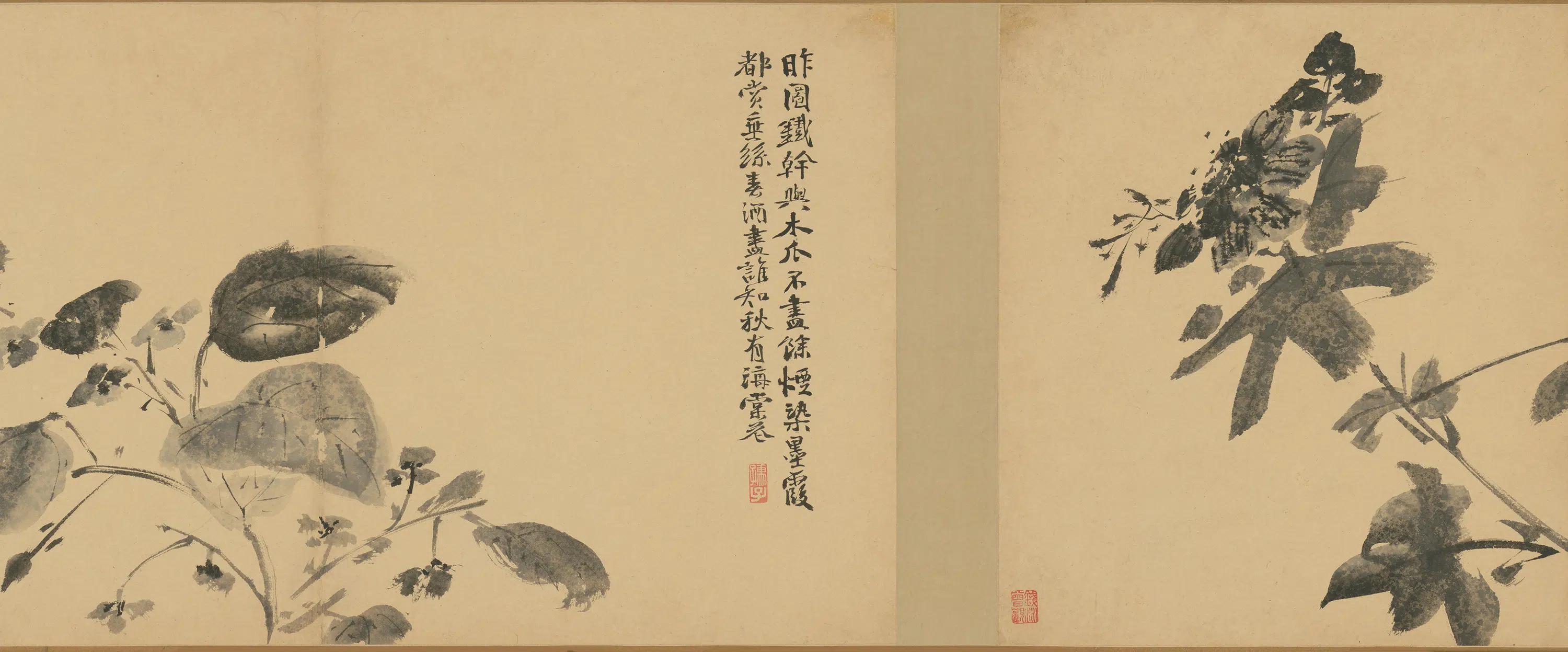 明朝【徐渭】《墨花卷》 第2张