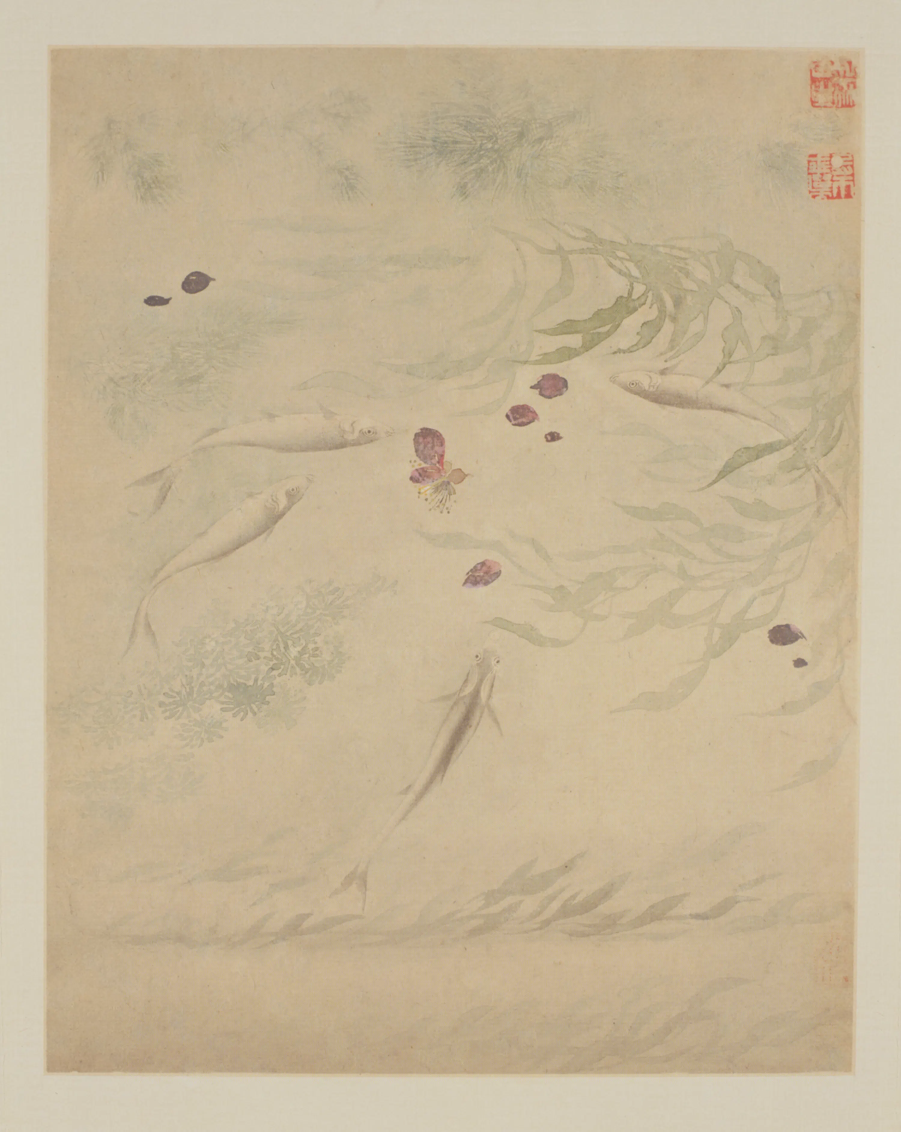 清代【恽寿平】《花鸟册(12开)》 第7张 清代【恽寿平】《花鸟册(12开)》 第7张