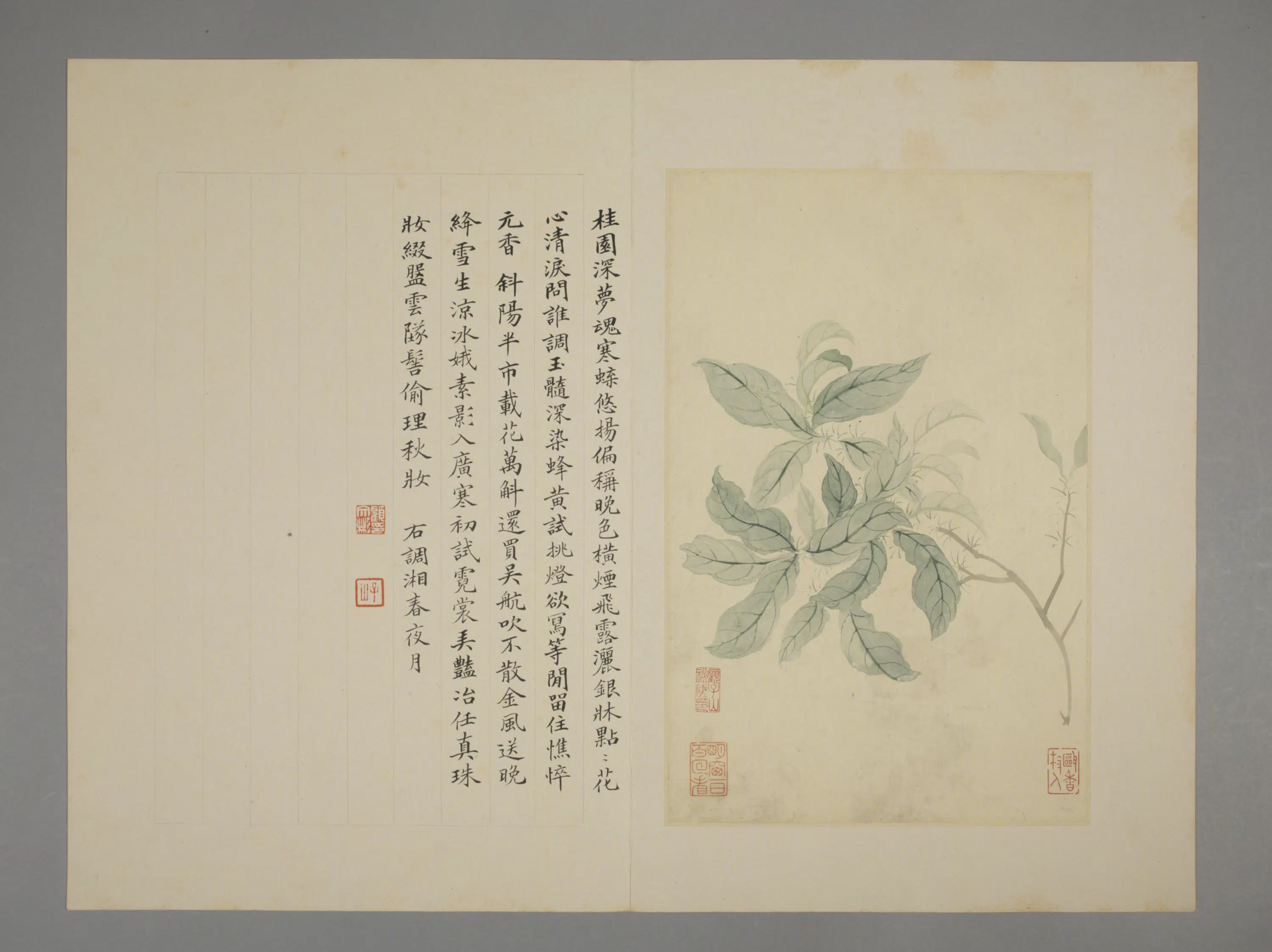清代【恽寿平】《花卉册（7开）》 第6张