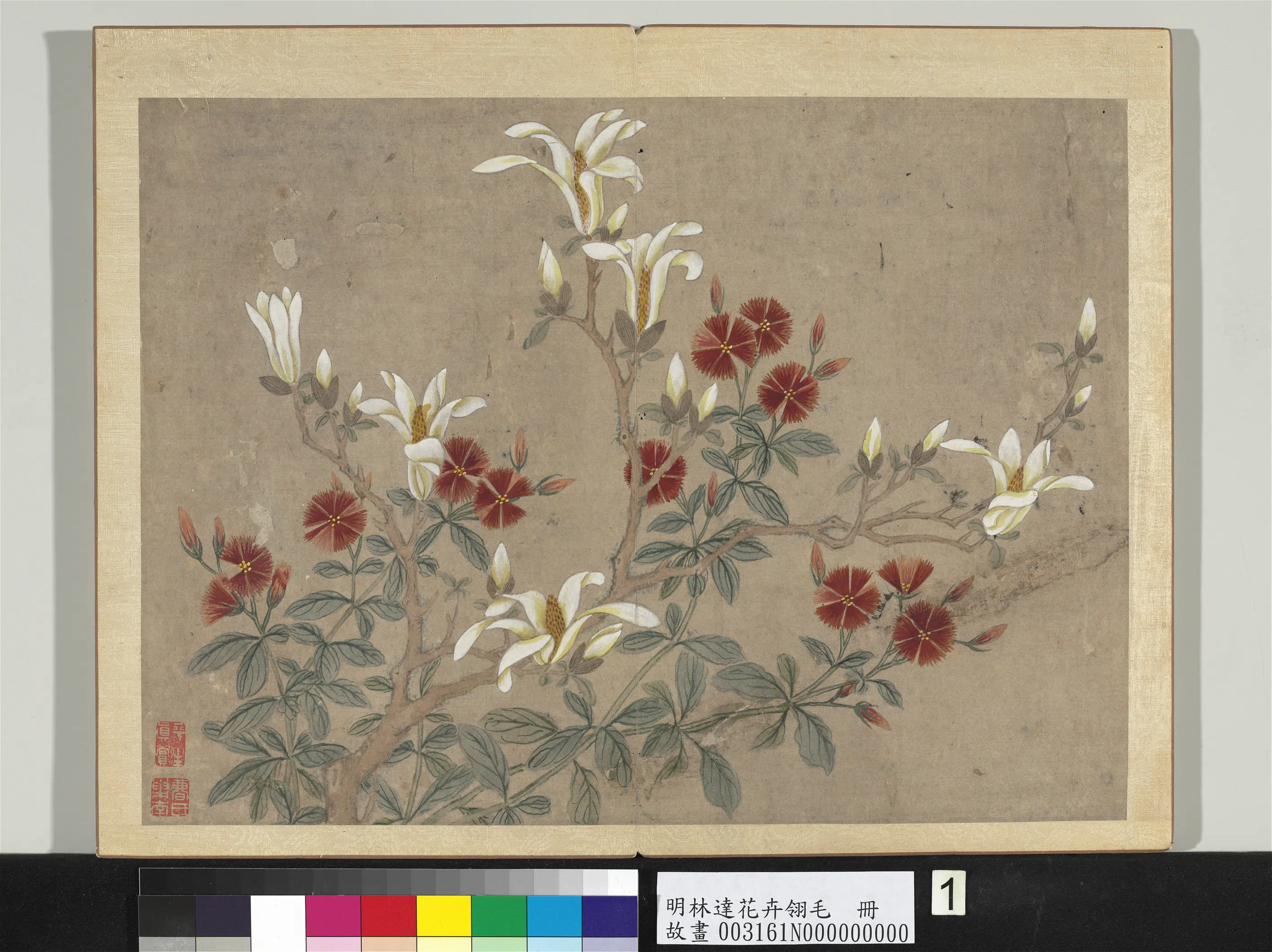 明朝【林达】《花卉翎毛册》 第8张