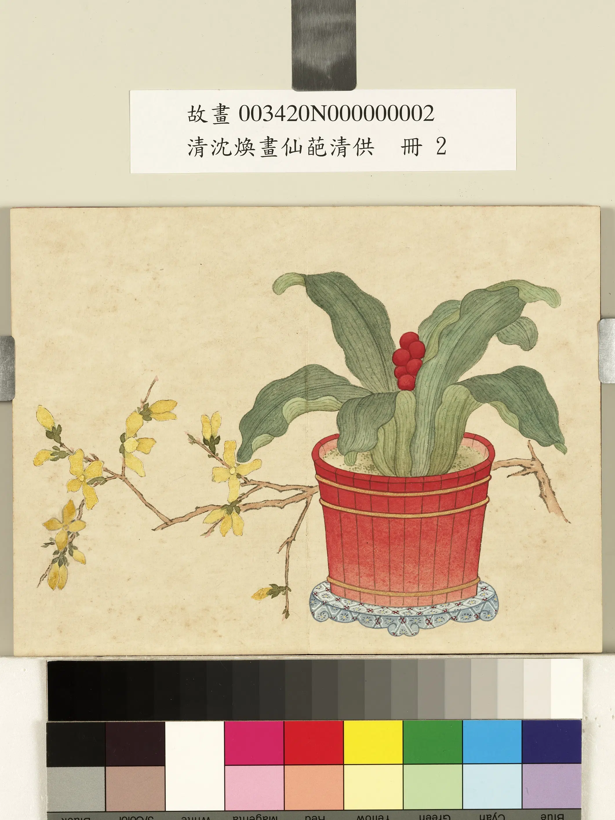 清代【沈焕】《画仙葩供册-万年青花盆》