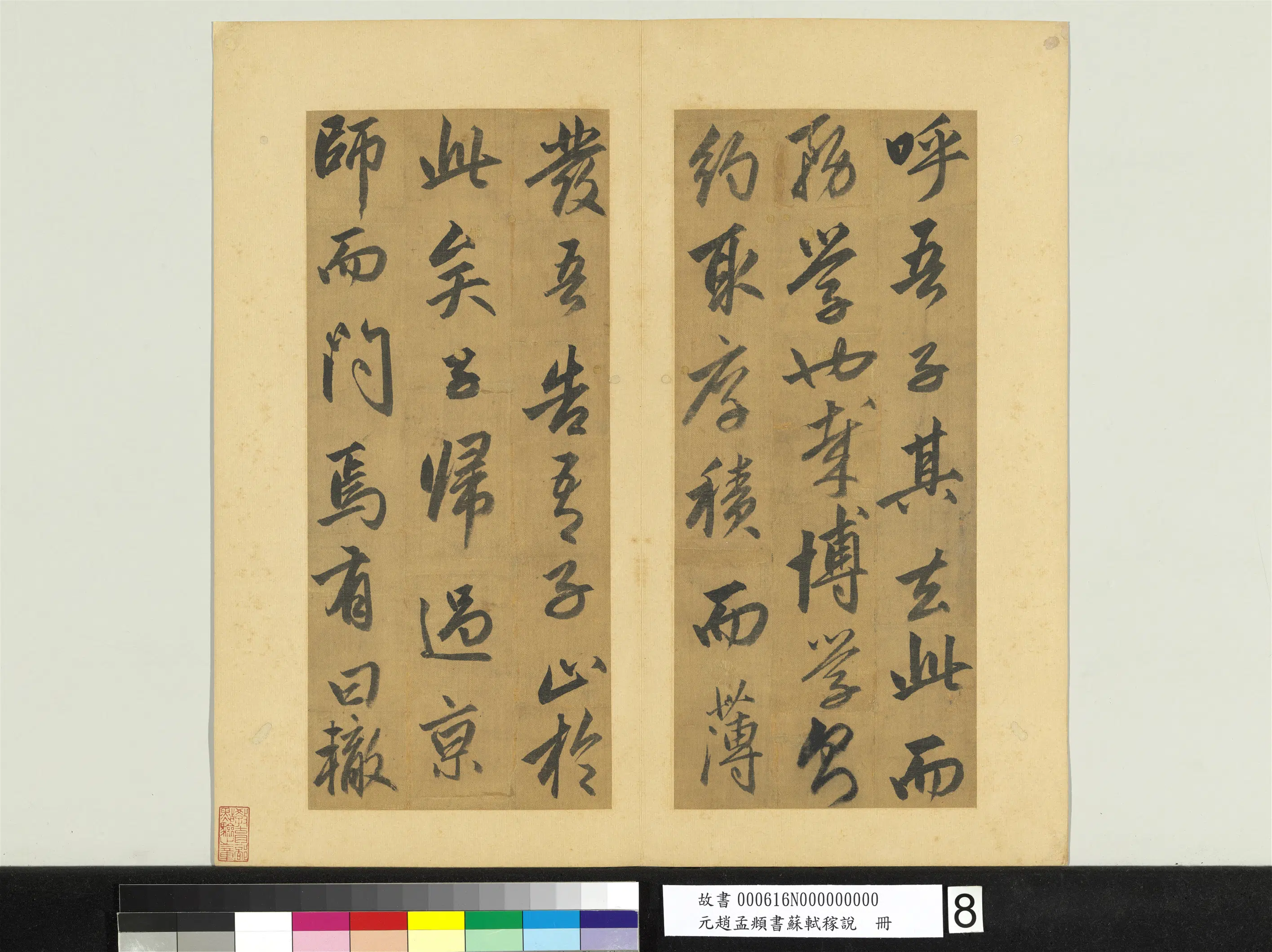 元朝【赵孟頫】《书苏轼稼说册》 第9张