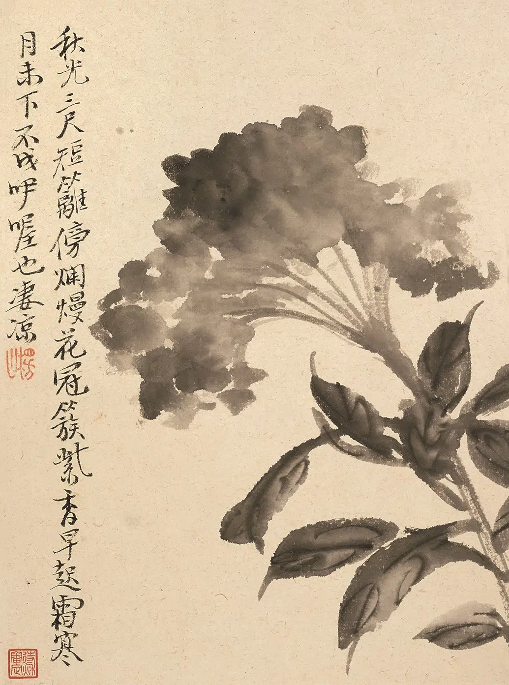 清代【陈撰】《花卉图册-2》 第7张