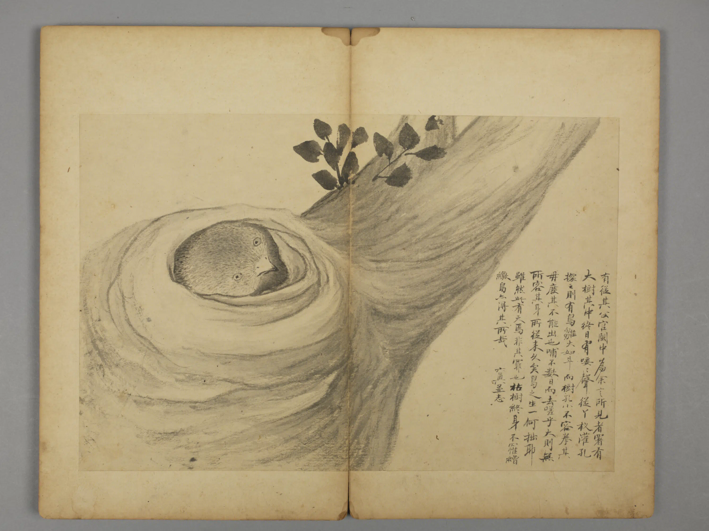 清代【王六真】《杂画册》