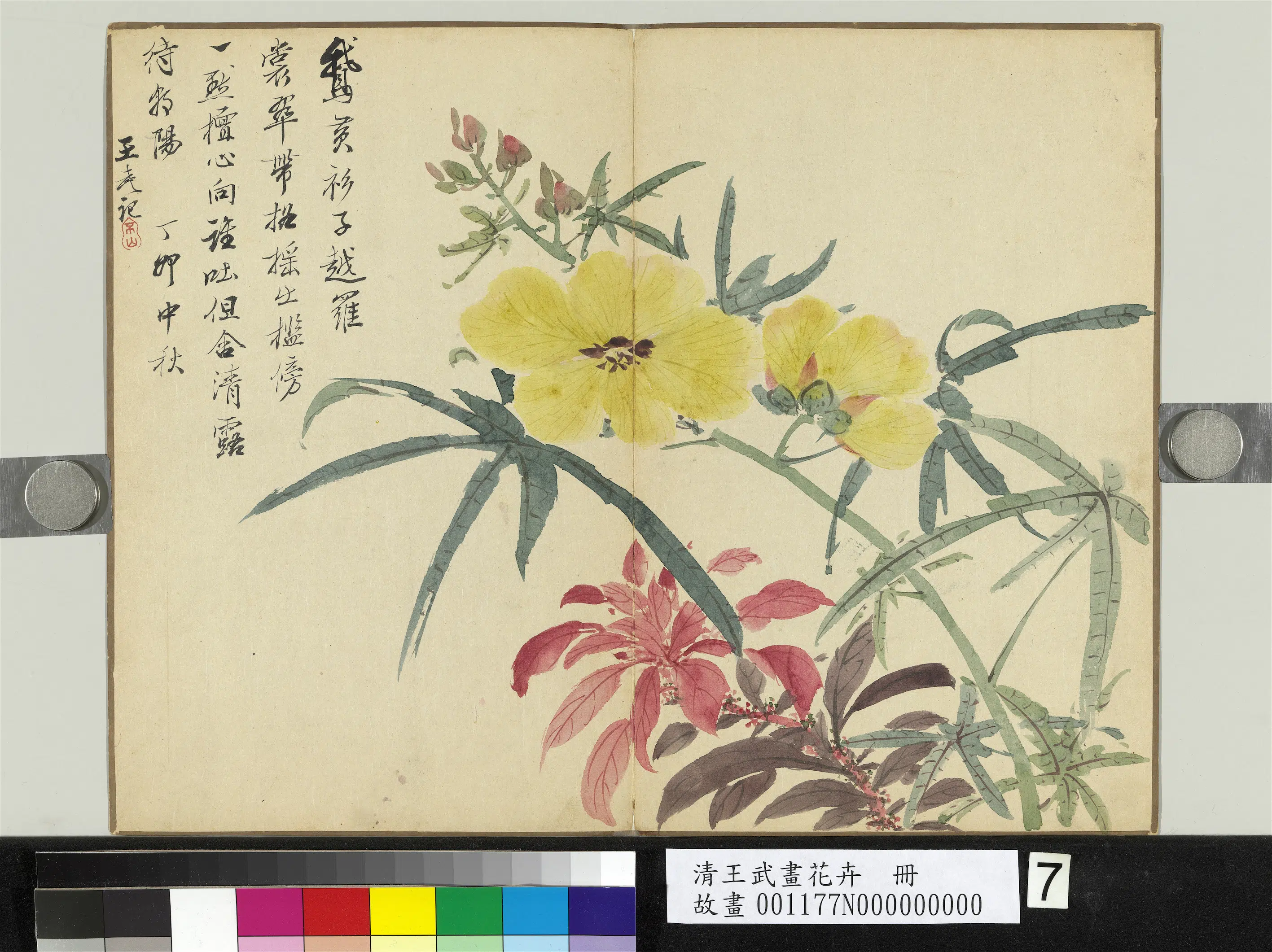 清代【王武】《画花卉册-秋葵》