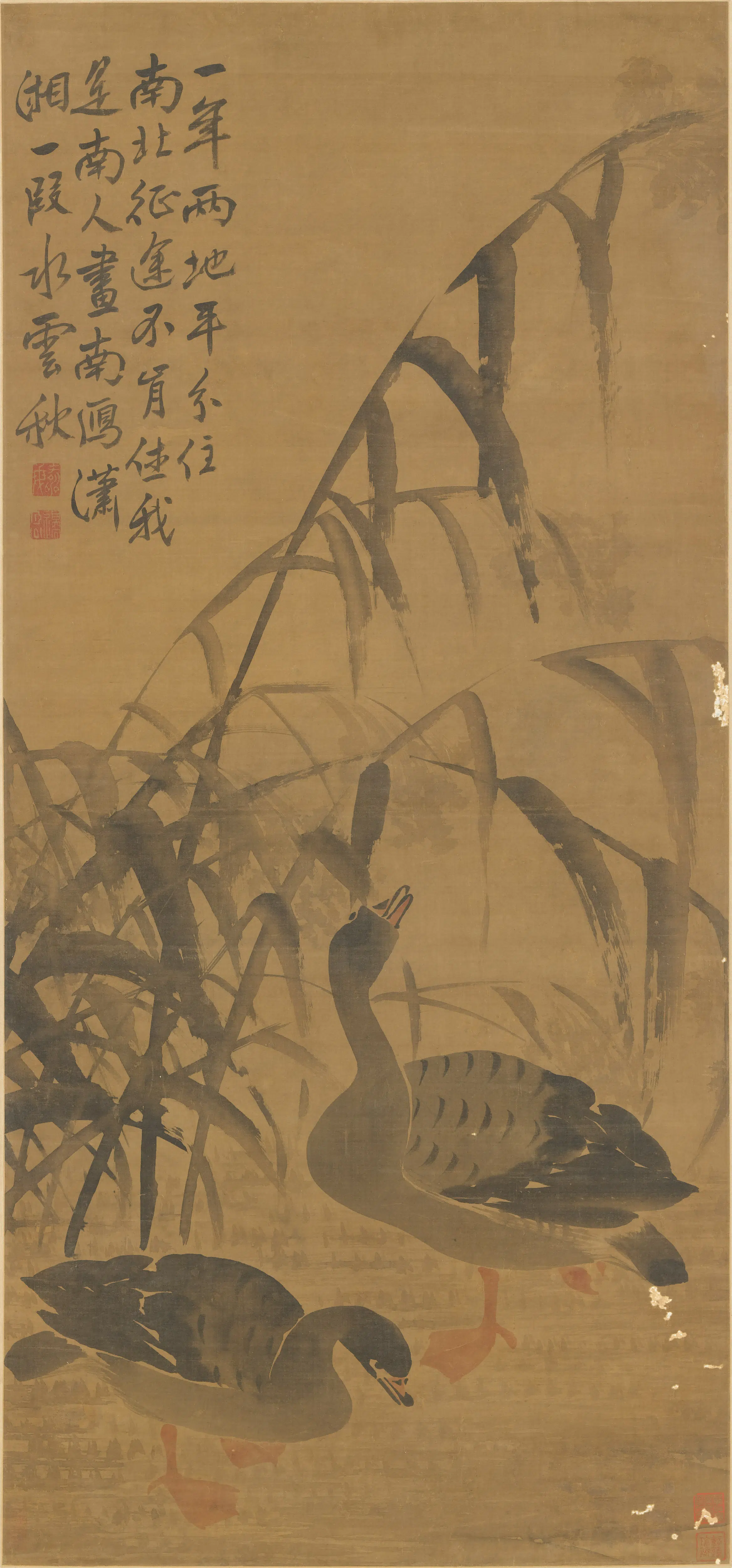 清代【边寿民】《芦雁图轴-1》