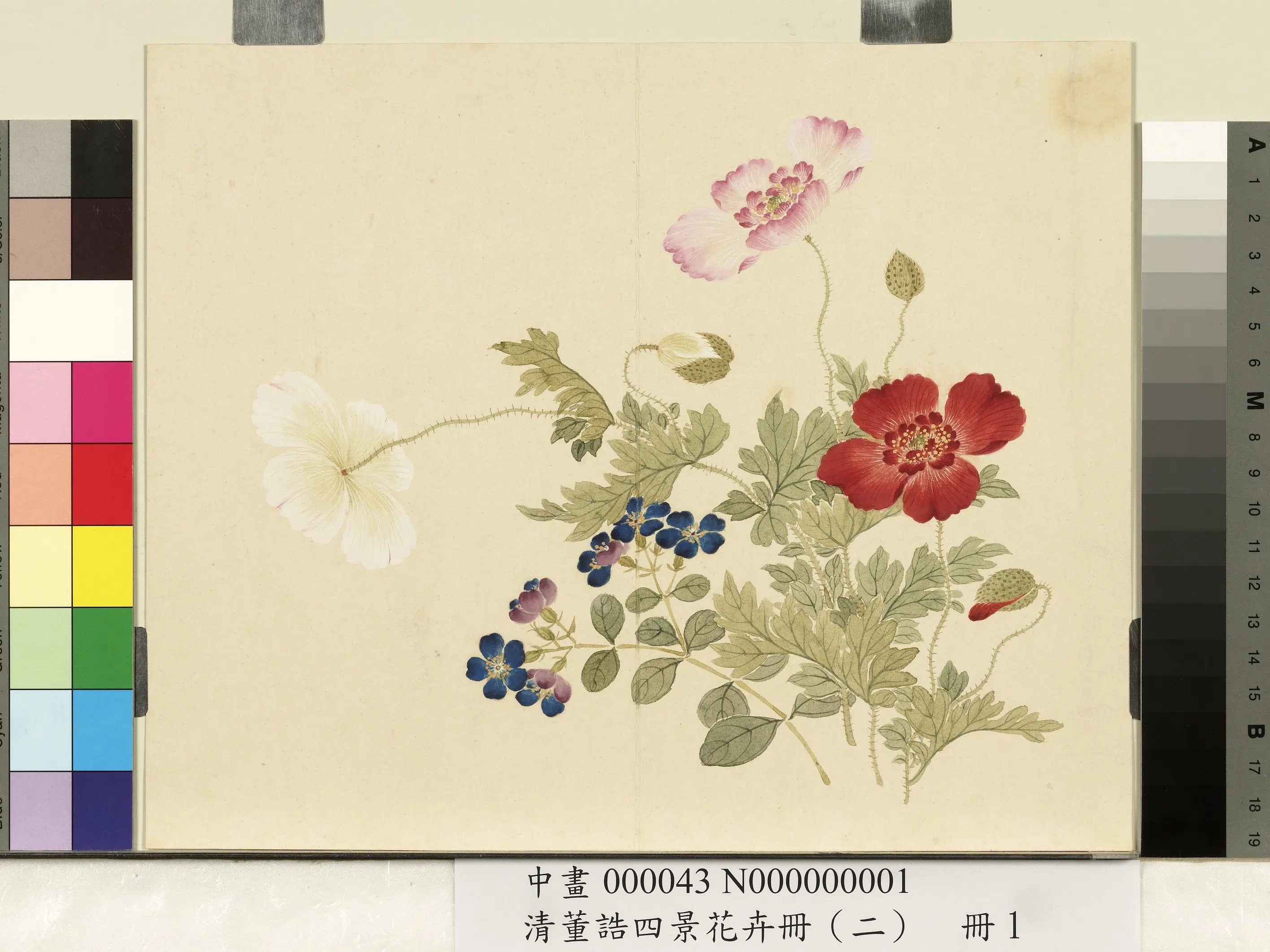 清代【董诰】《四景花卉册(二)册》 第1张 清代【董诰】《四景花卉册(二)册》 第1张
