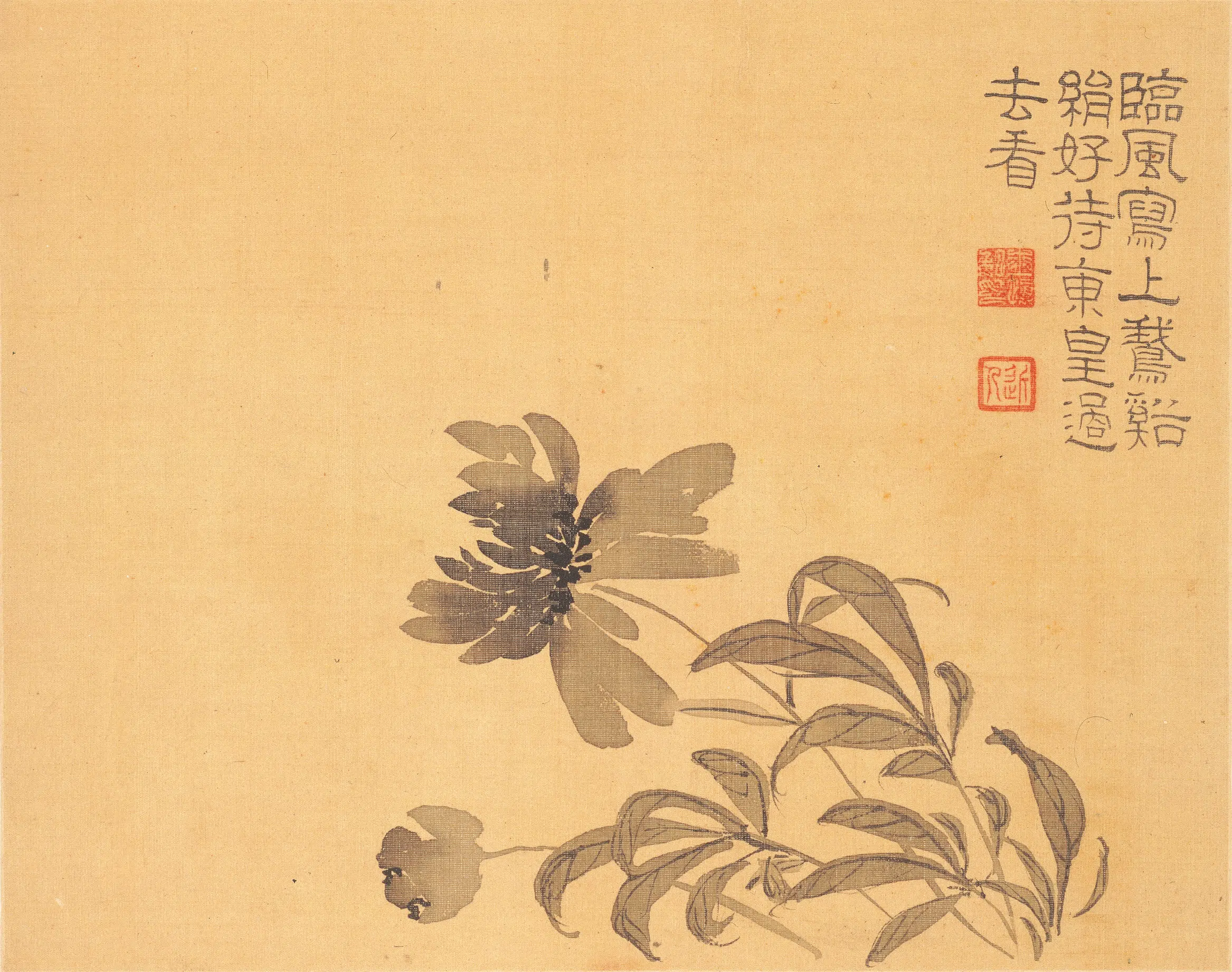 清代【汪士慎】《花卉册》 第5张 清代【汪士慎】《花卉册》 第5张