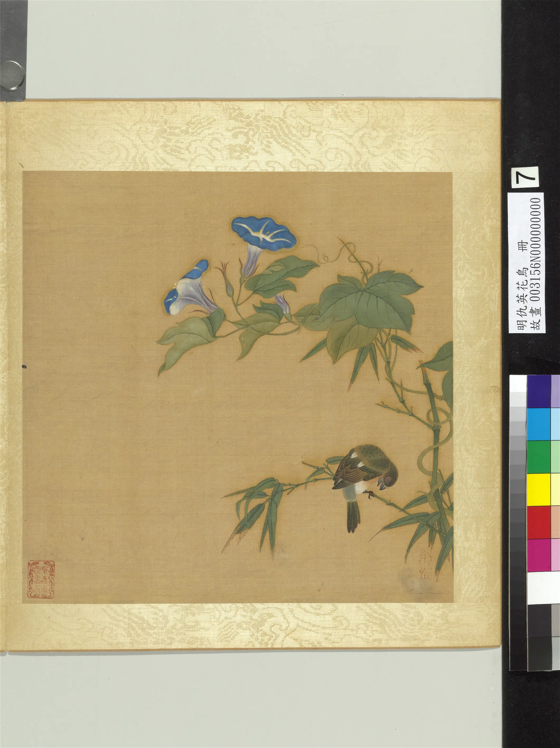 明朝【仇英】《花鸟册（12开）》 第7张