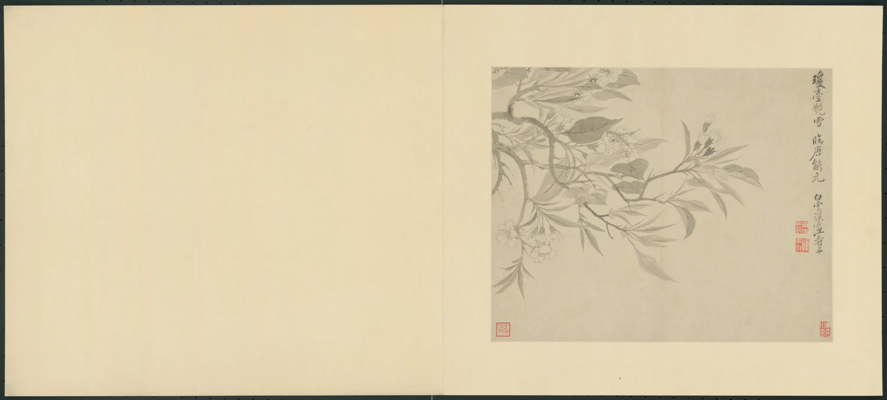 清代【恽寿平】《花卉册(8开)》 第6张 清代【恽寿平】《花卉册(8开)》 第6张