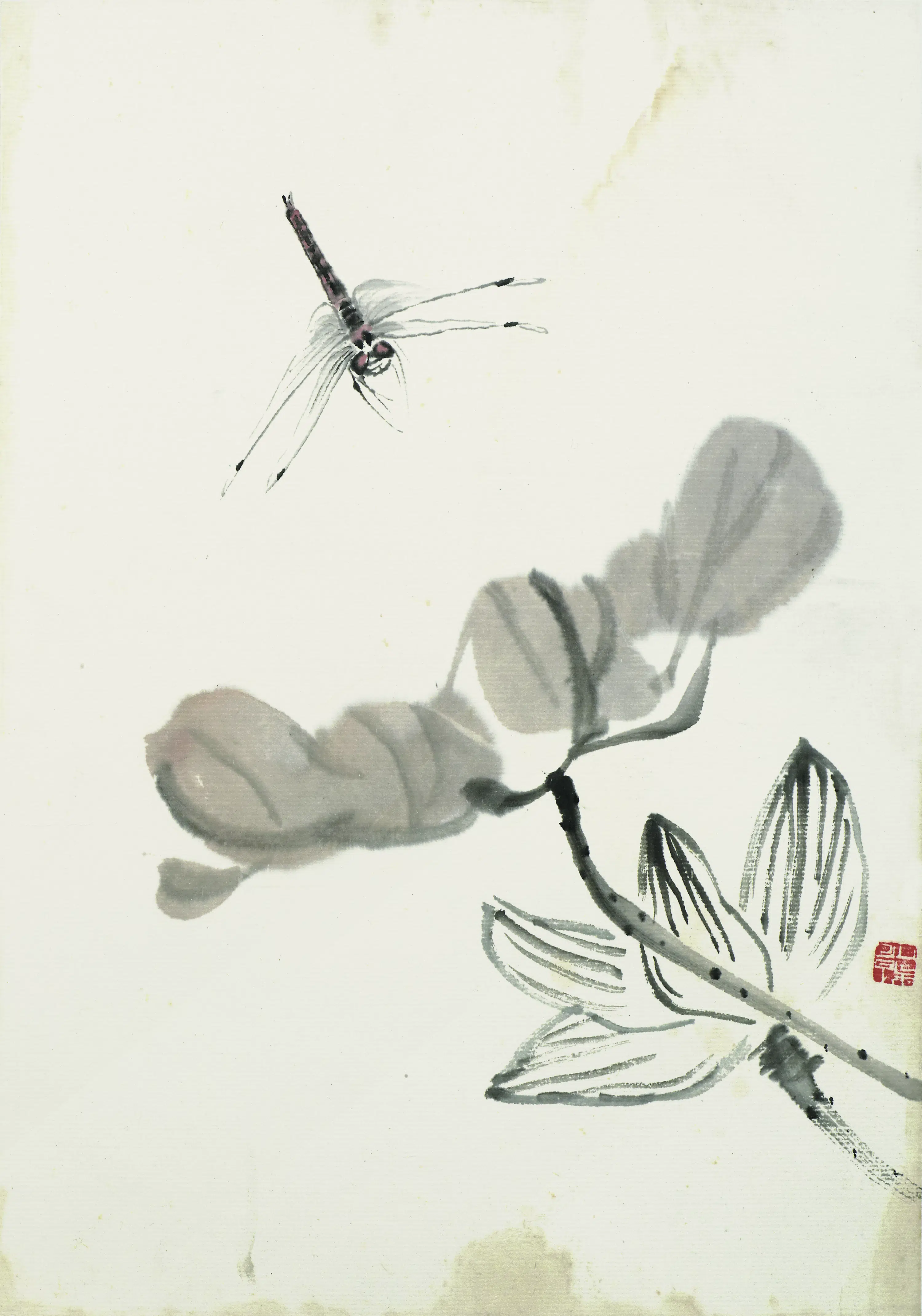 近现代【齐白石】《叶隐闻声-花卉工笔草虫册-玉兰花蜻蜓》