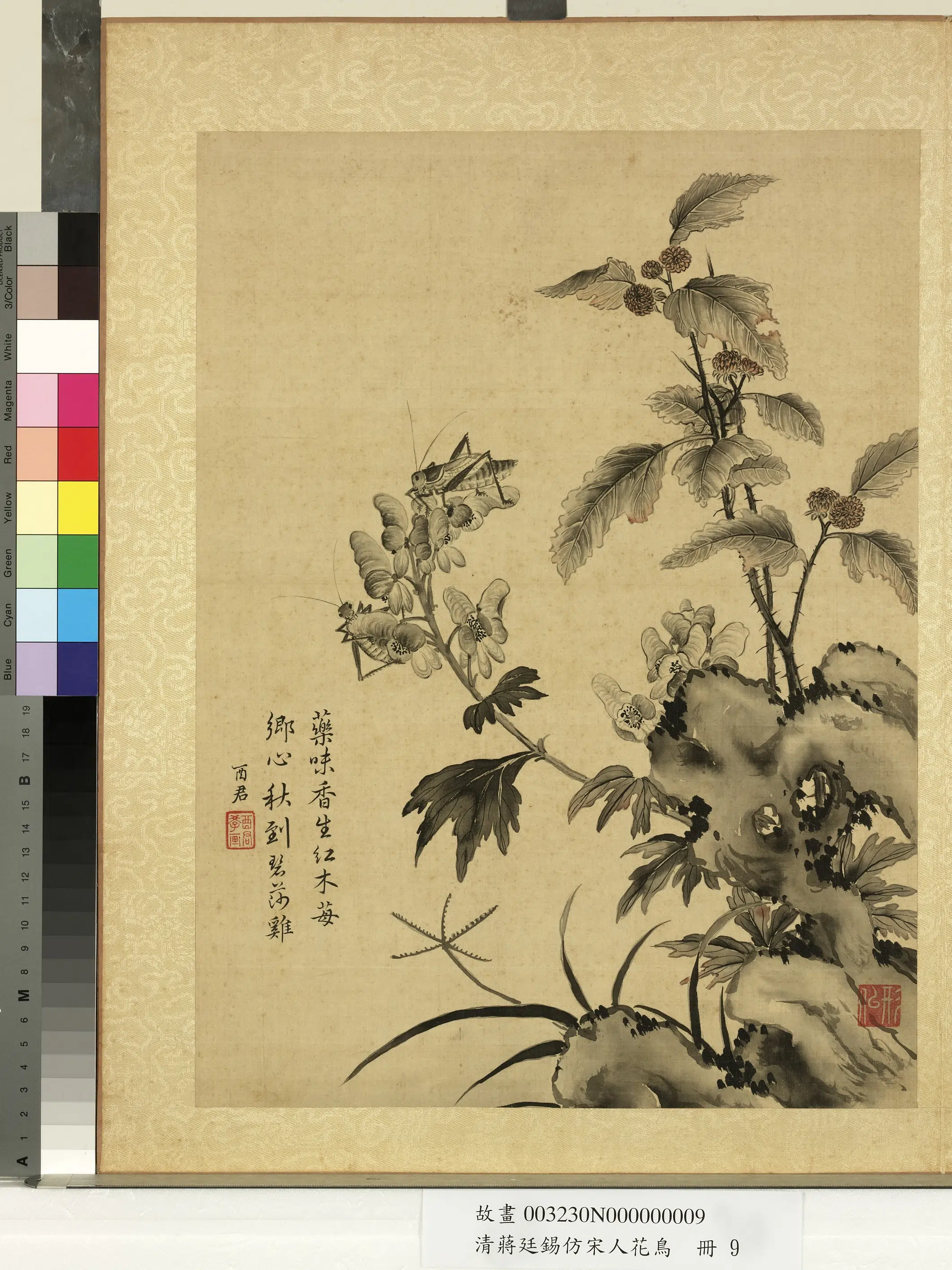 清代【蒋廷锡】《仿宋人花鸟册-蟋蟀》
