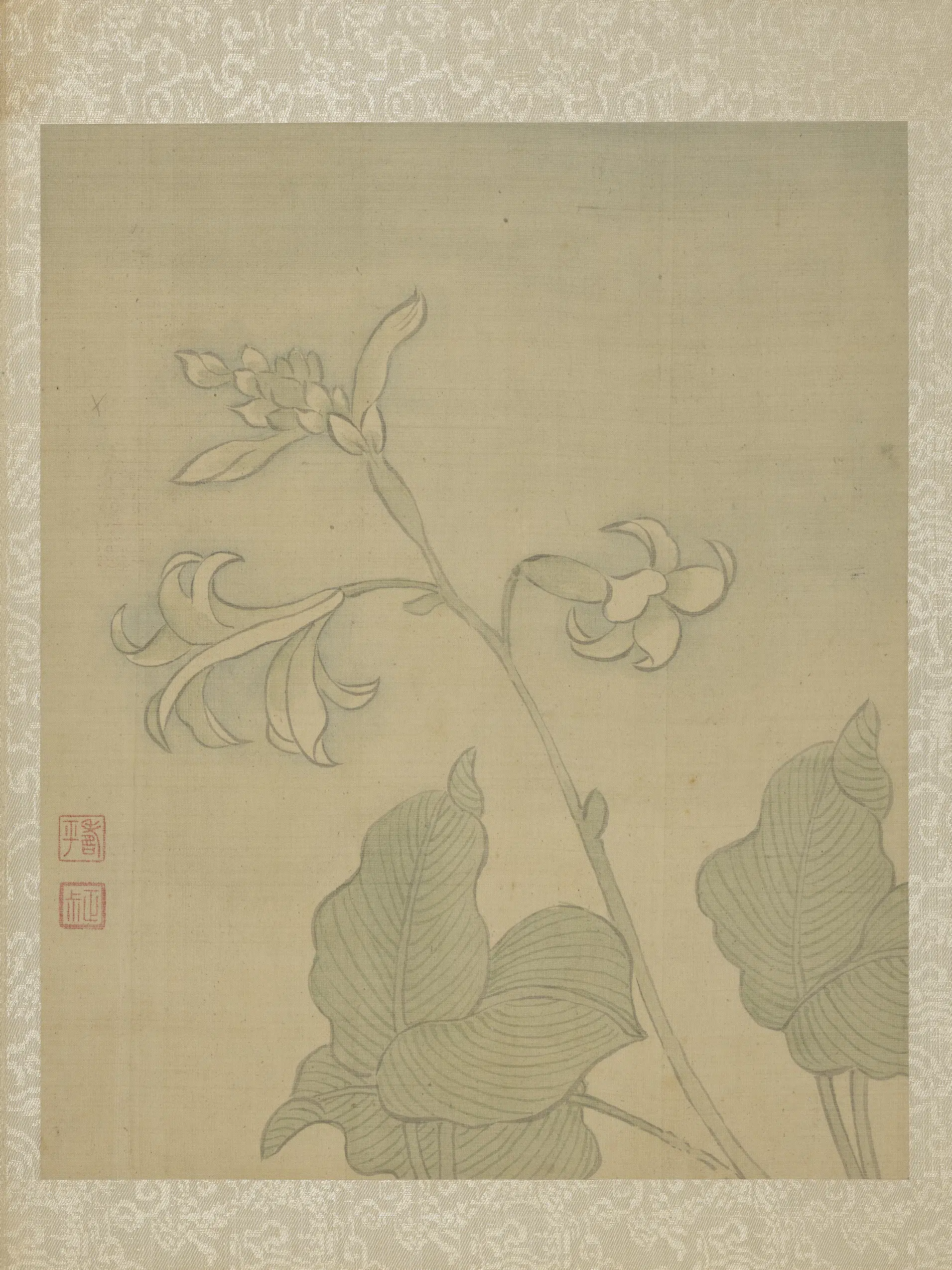 清代【恽寿平】《鱼藻图册-玉簪花》
