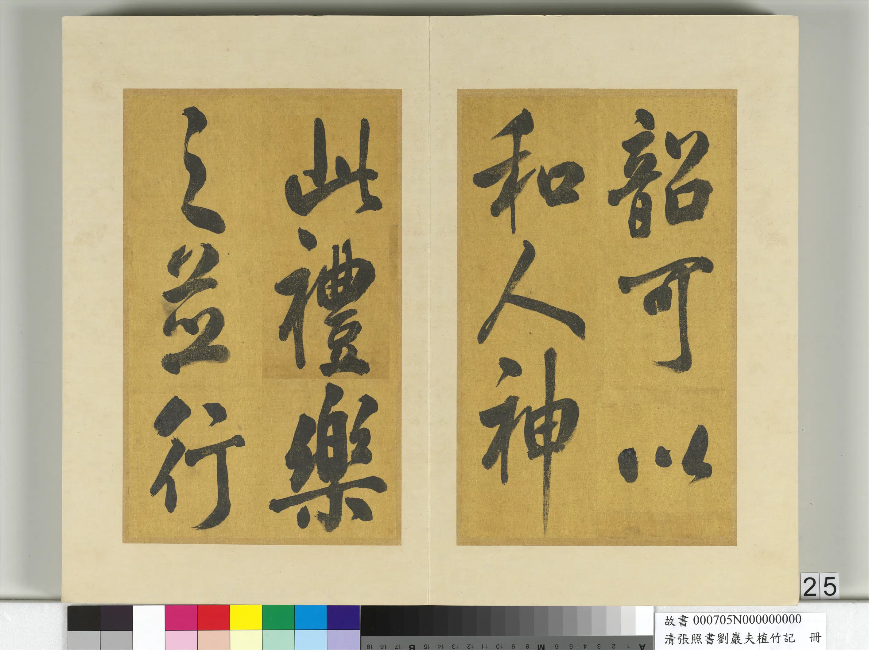 清代【张照】《书刘岩夫植竹记册》 第18张