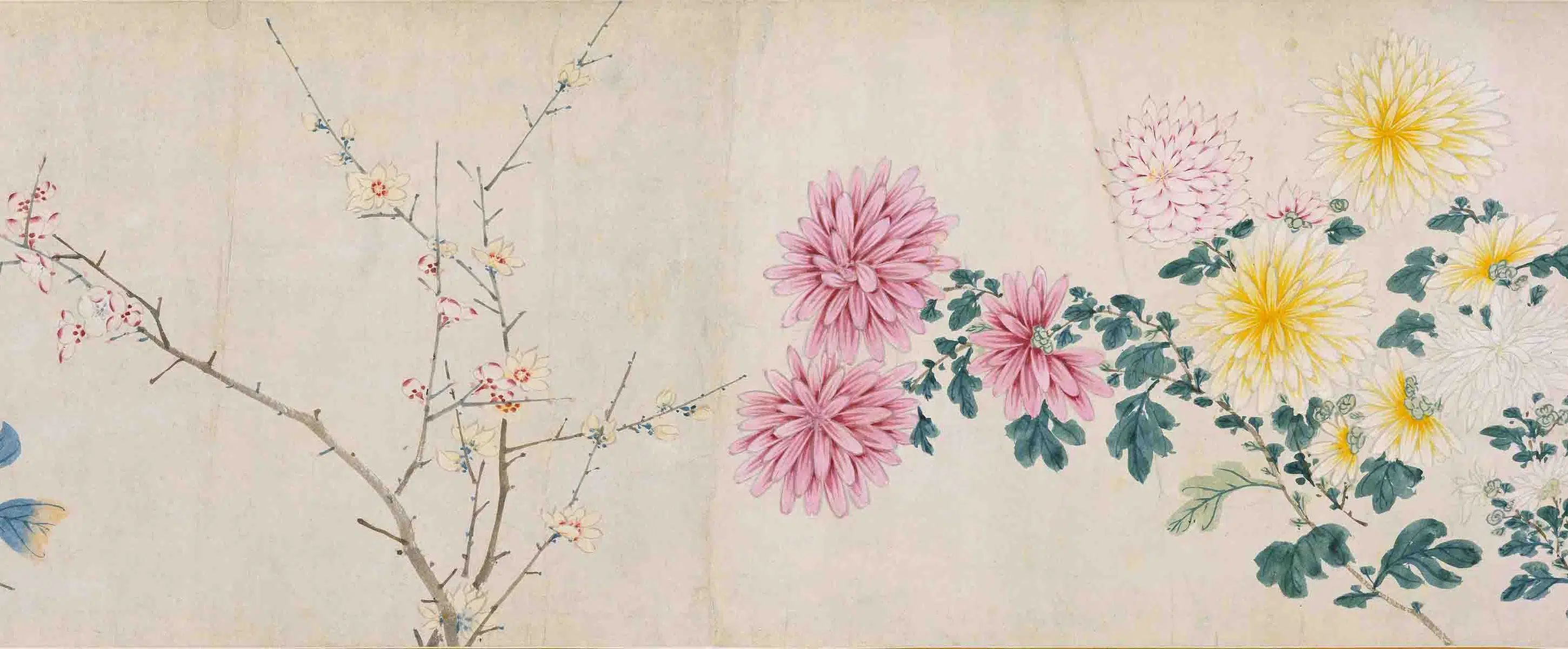 明朝【周之冕】《群芳竞秀图卷》 第13张 明朝【周之冕】《群芳竞秀图卷》 第13张