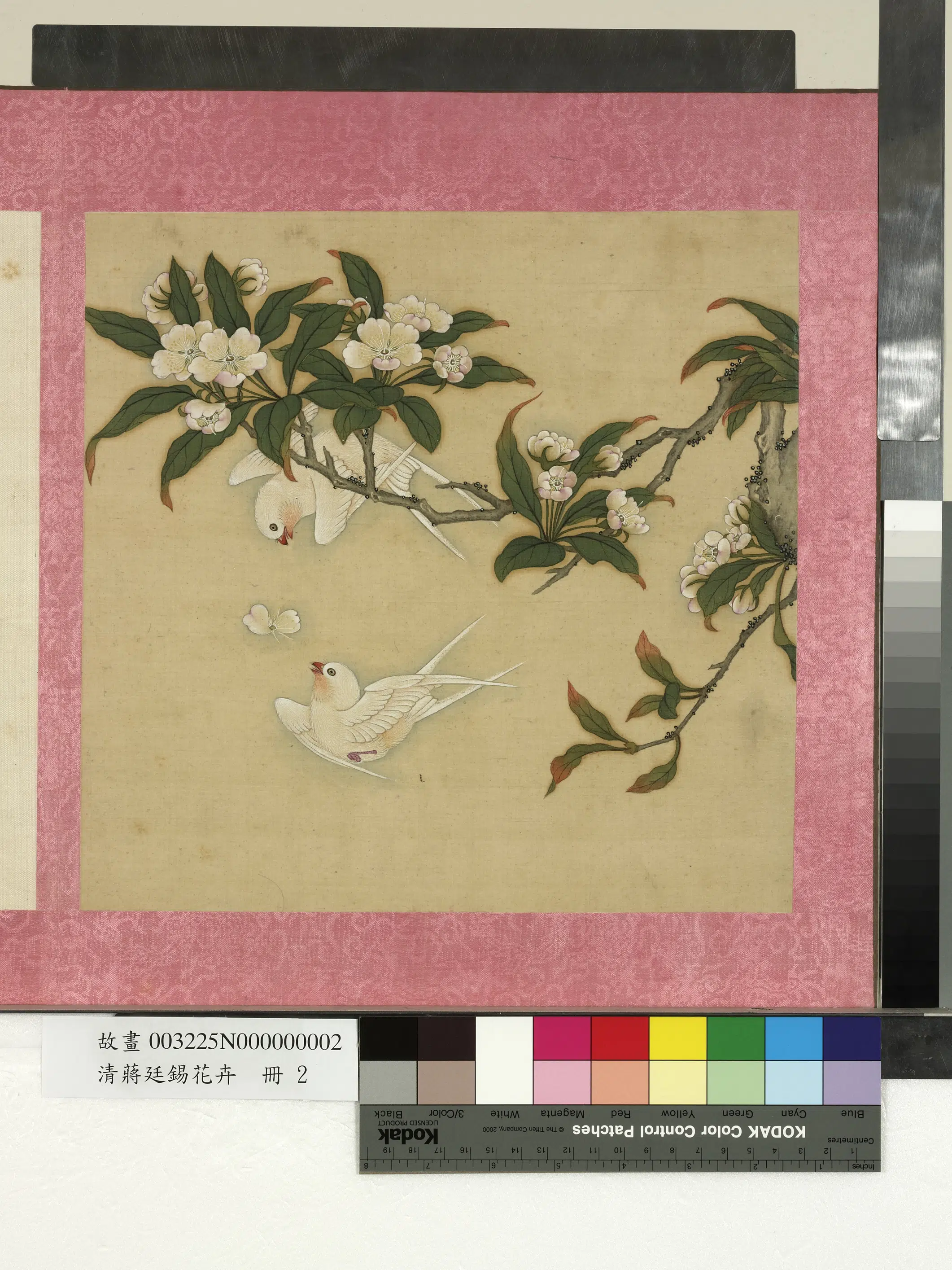 清代【蒋廷锡】《花卉册-桃花双燕》