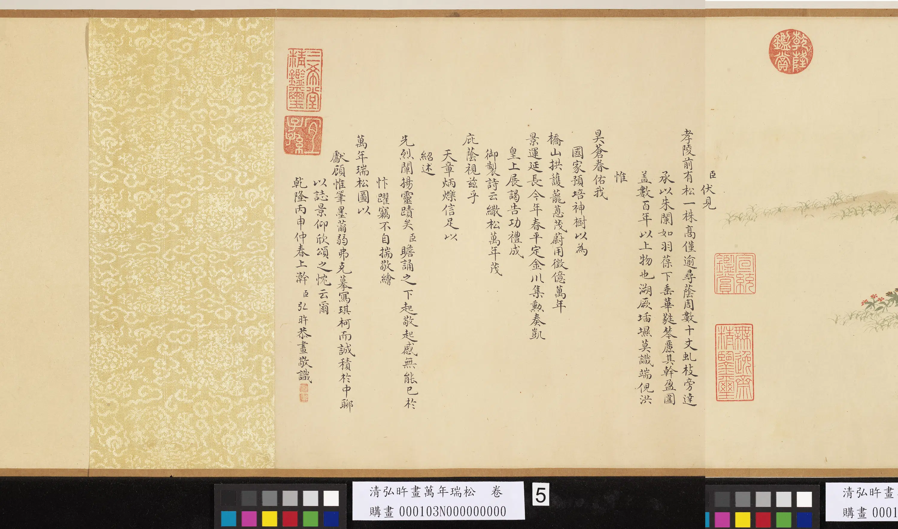 清代【爱新觉罗弘旿】《画万年瑞松图卷》 第1张 清代【爱新觉罗弘旿】《画万年瑞松图卷》 第1张