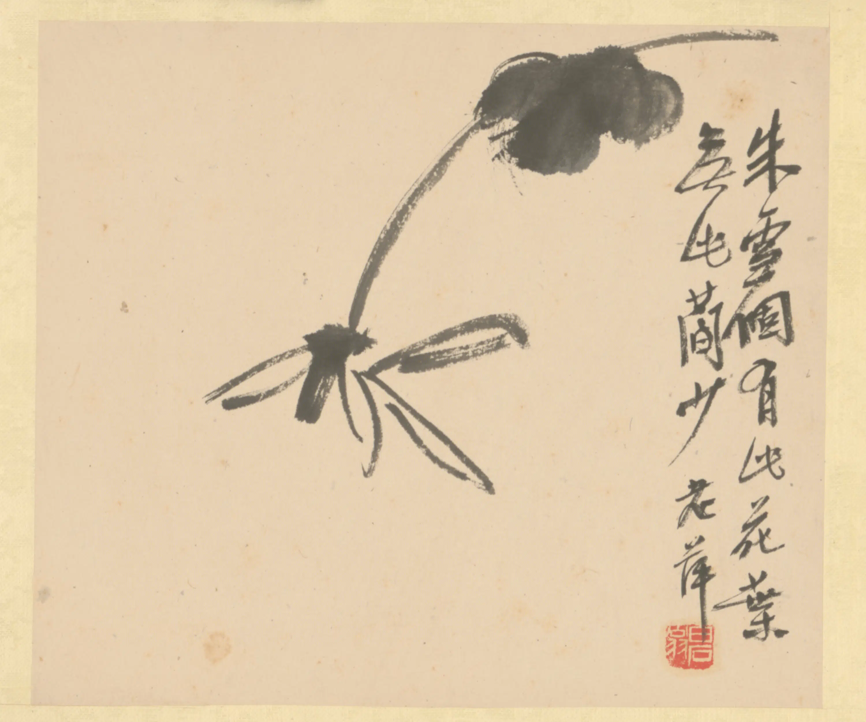 近现代【齐白石】《花卉册》 第9张 近现代【齐白石】《花卉册》 第9张