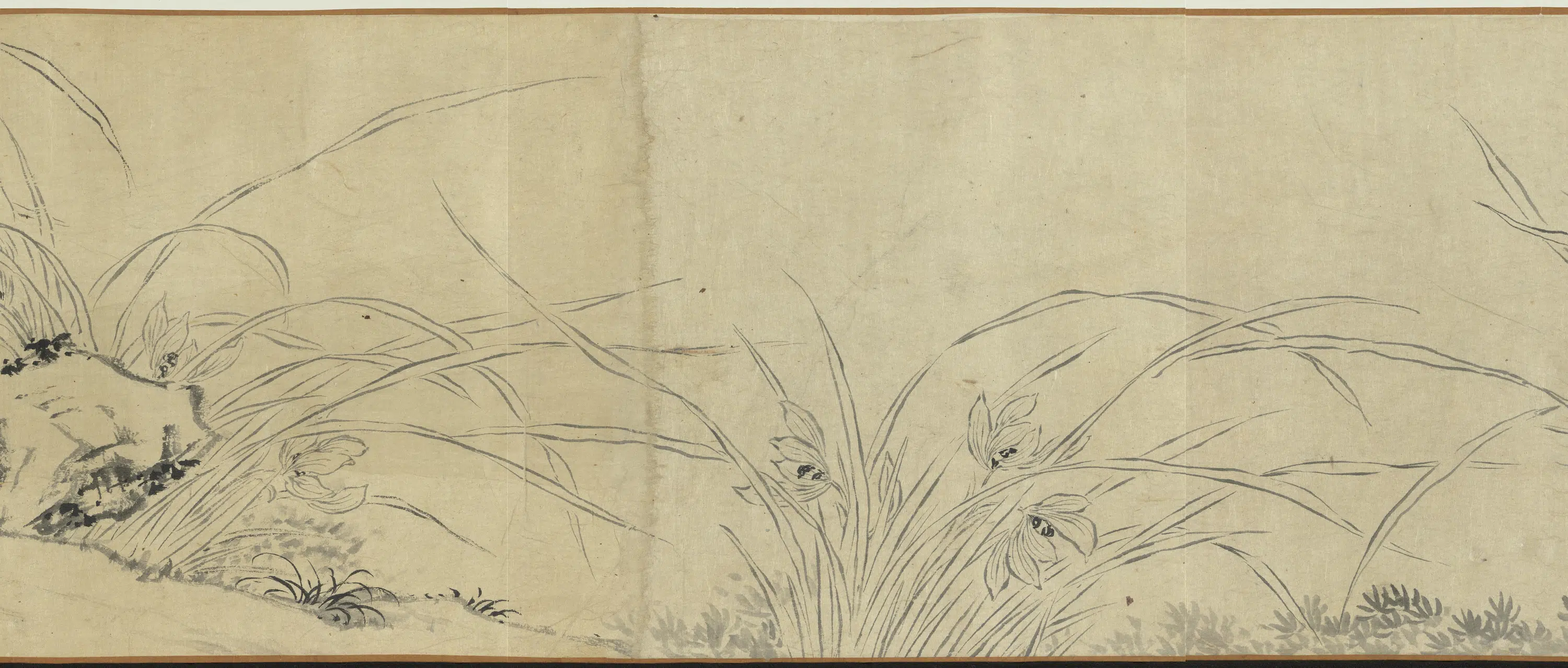 明朝【马守真马守贞(马湘兰)】《双钩兰卷》 第2张 明朝【马守真马守贞(马湘兰)】《双钩兰卷》 第2张