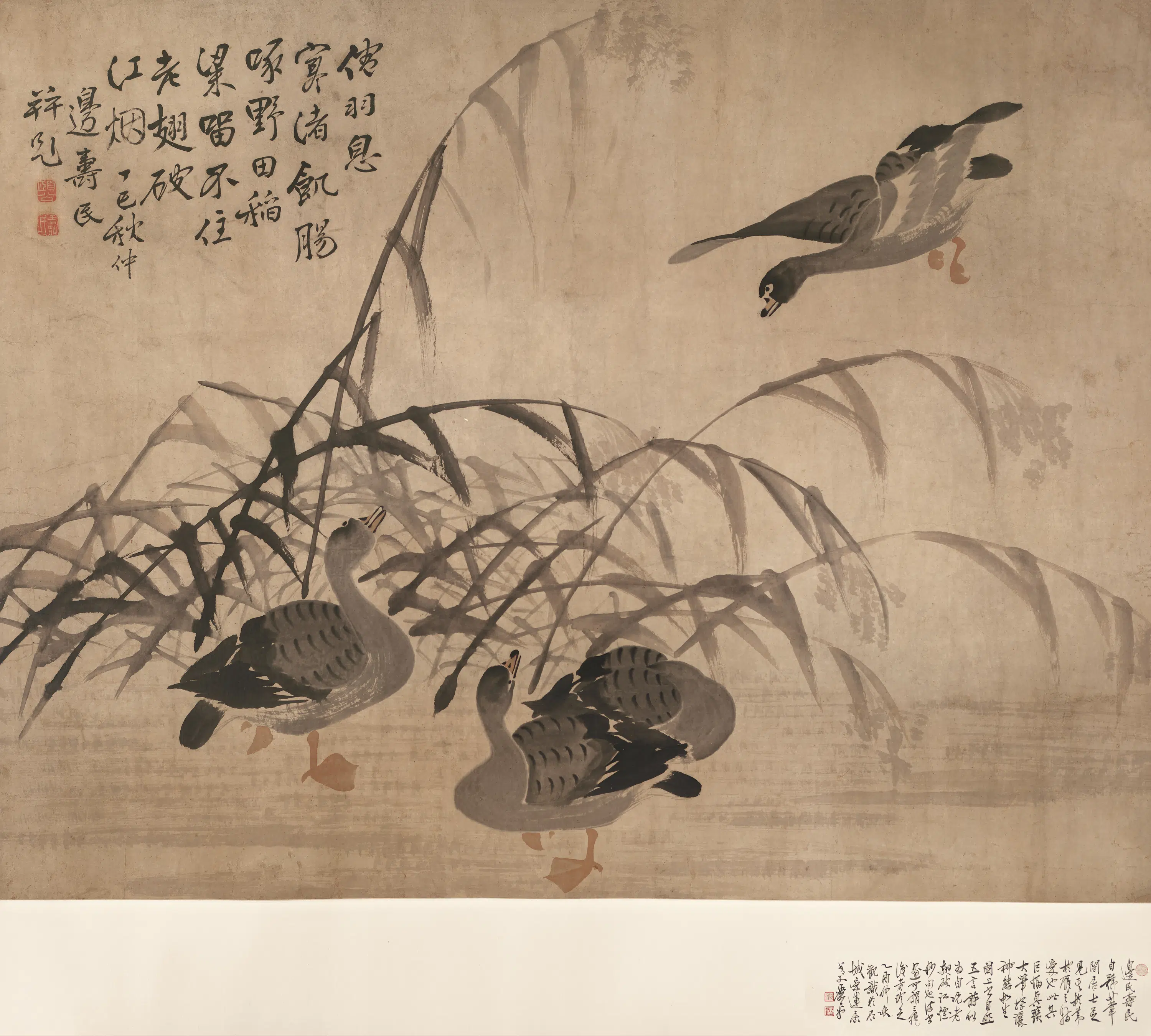清代【边寿民】《芦雁图轴》