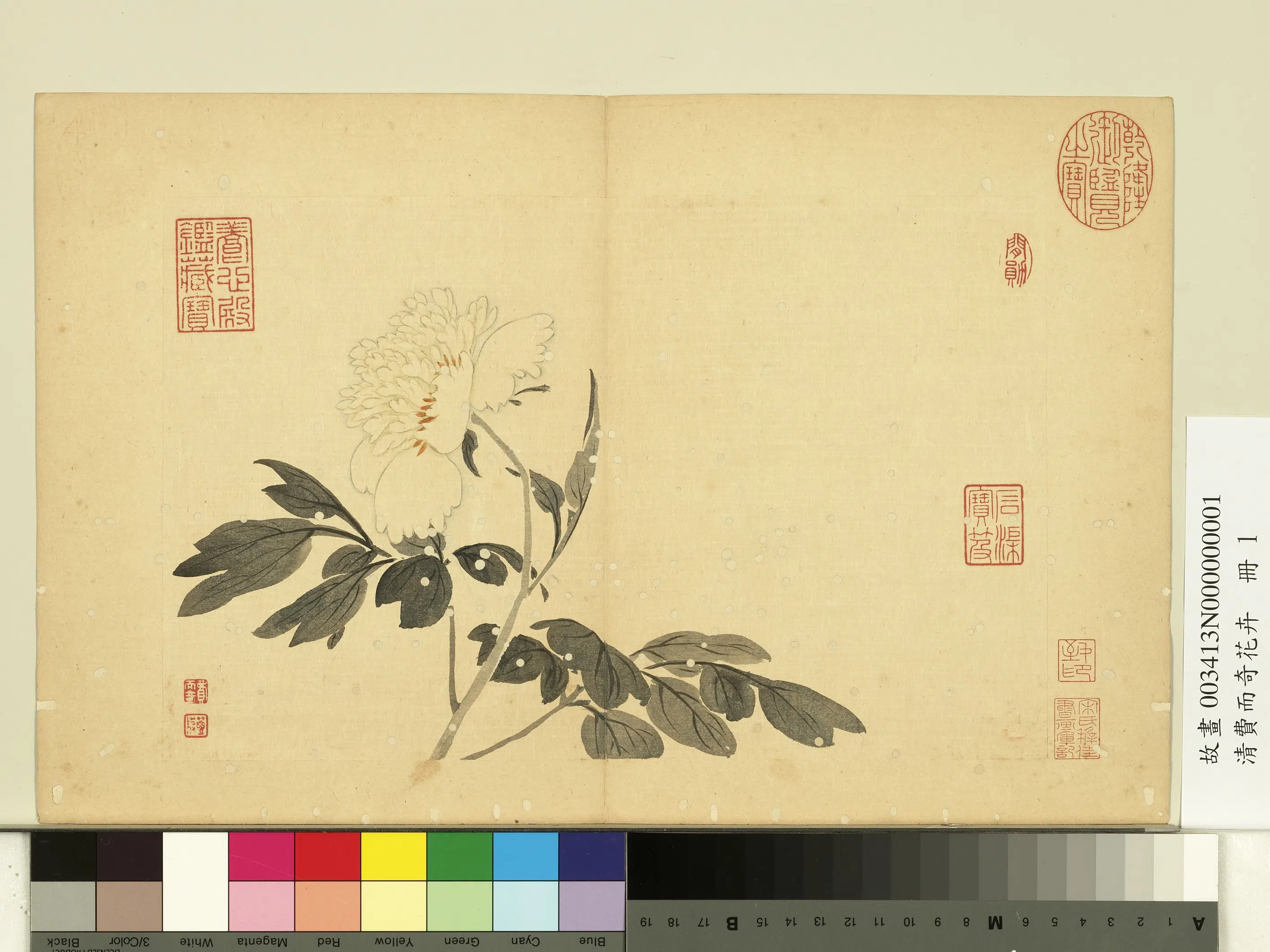 清代【费而奇】《花卉册》 第1张